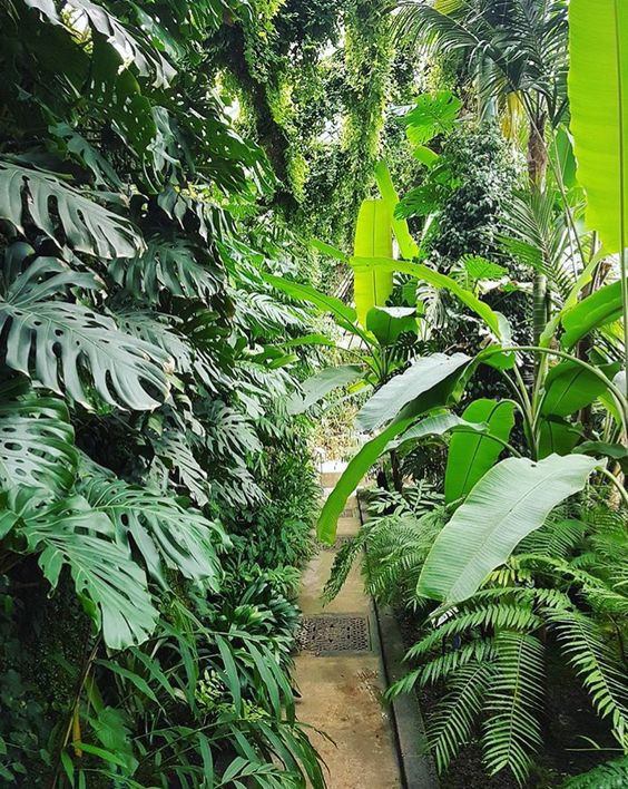 Ý tưởng trang trí không gian sống trong nhà, ban công