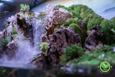 Paludarium là gì? Khám phá những mẫu paludarium độc lạ