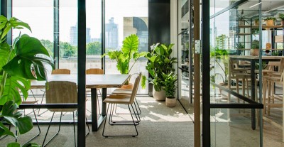 Vì sao nên sử dụng cây xanh văn phòng trang trí?