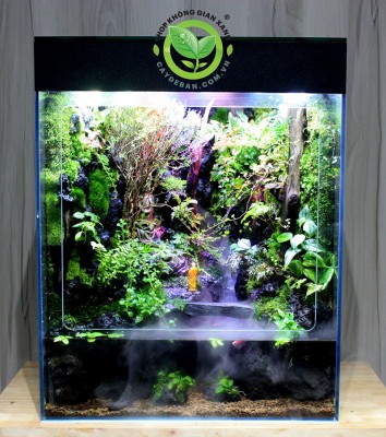 Tìm hiểu về Paludarium Rainforest -  Rừng mưa nhiệt đới hot nhất hiện nay