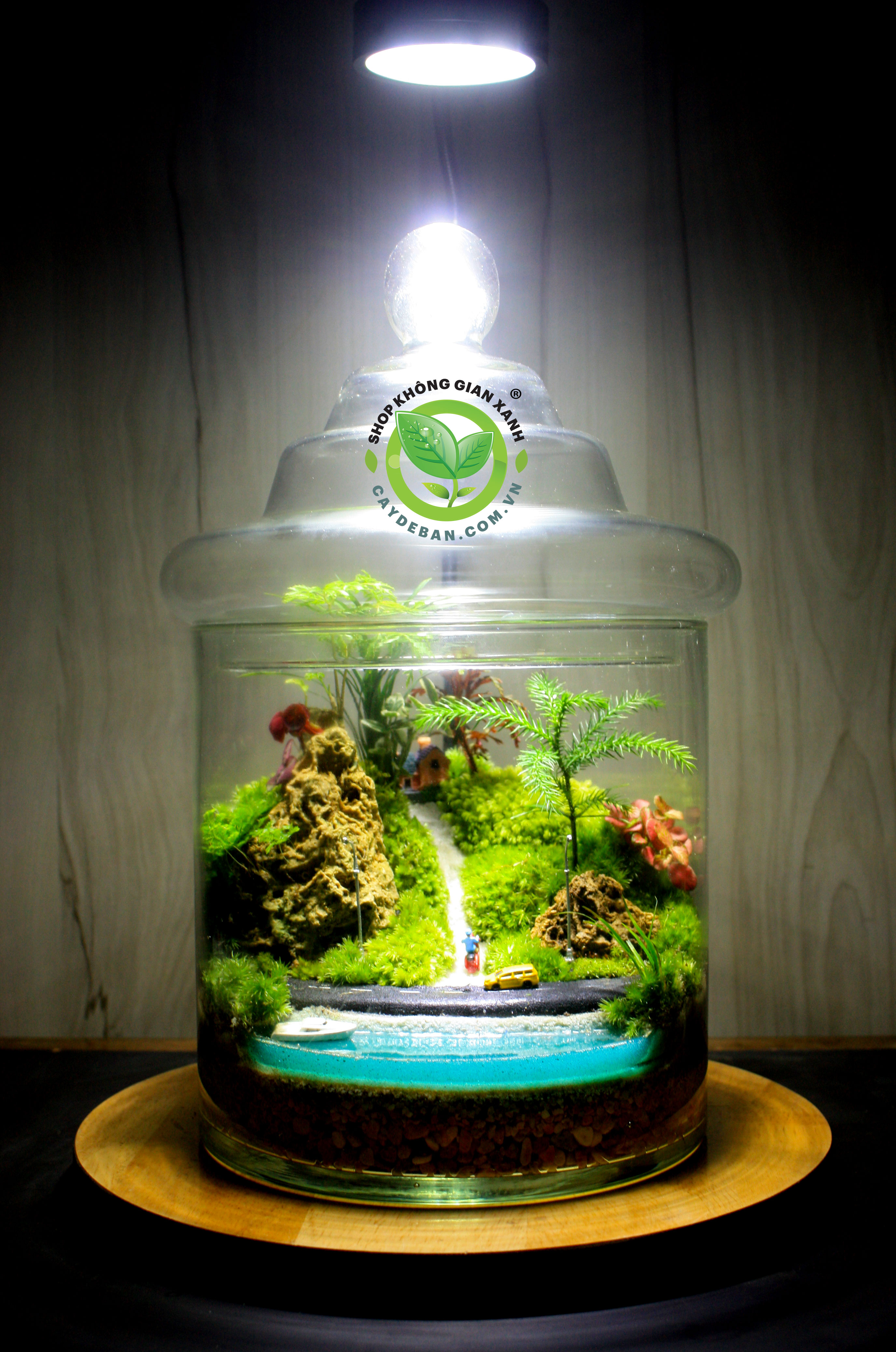 Terrarium Đường Về Nhà