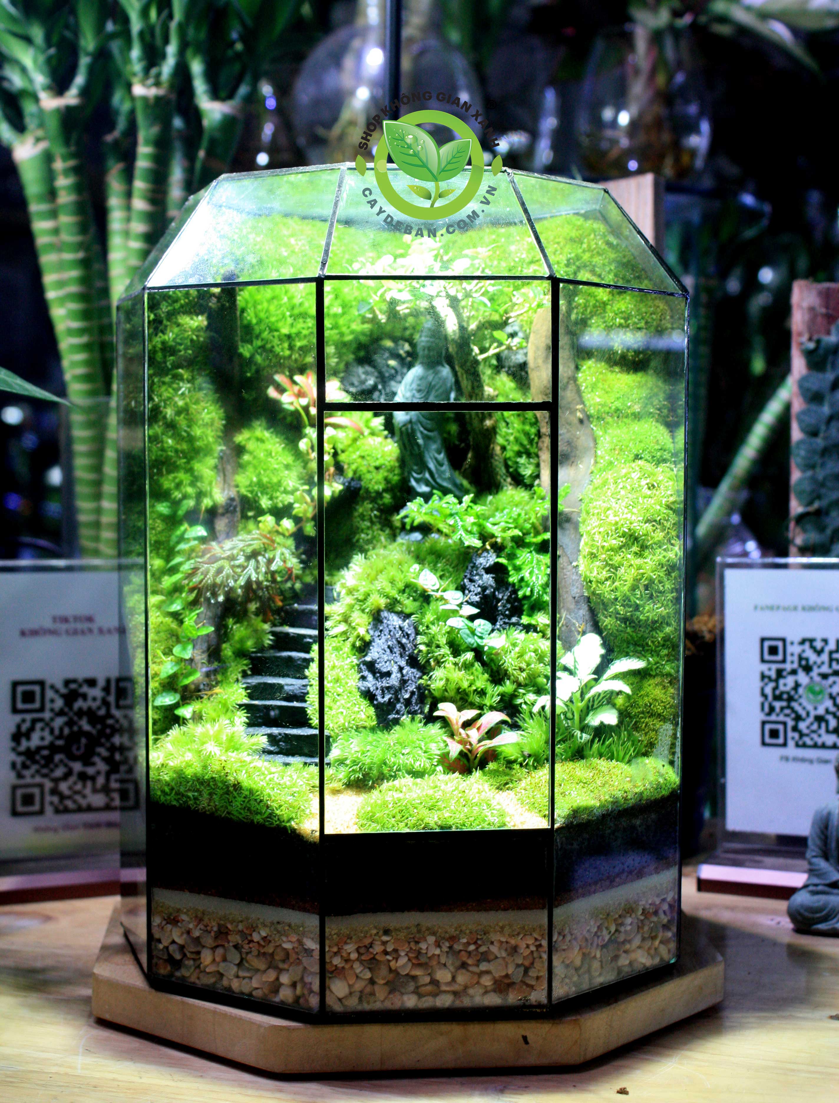 Terrarium-MS017.3