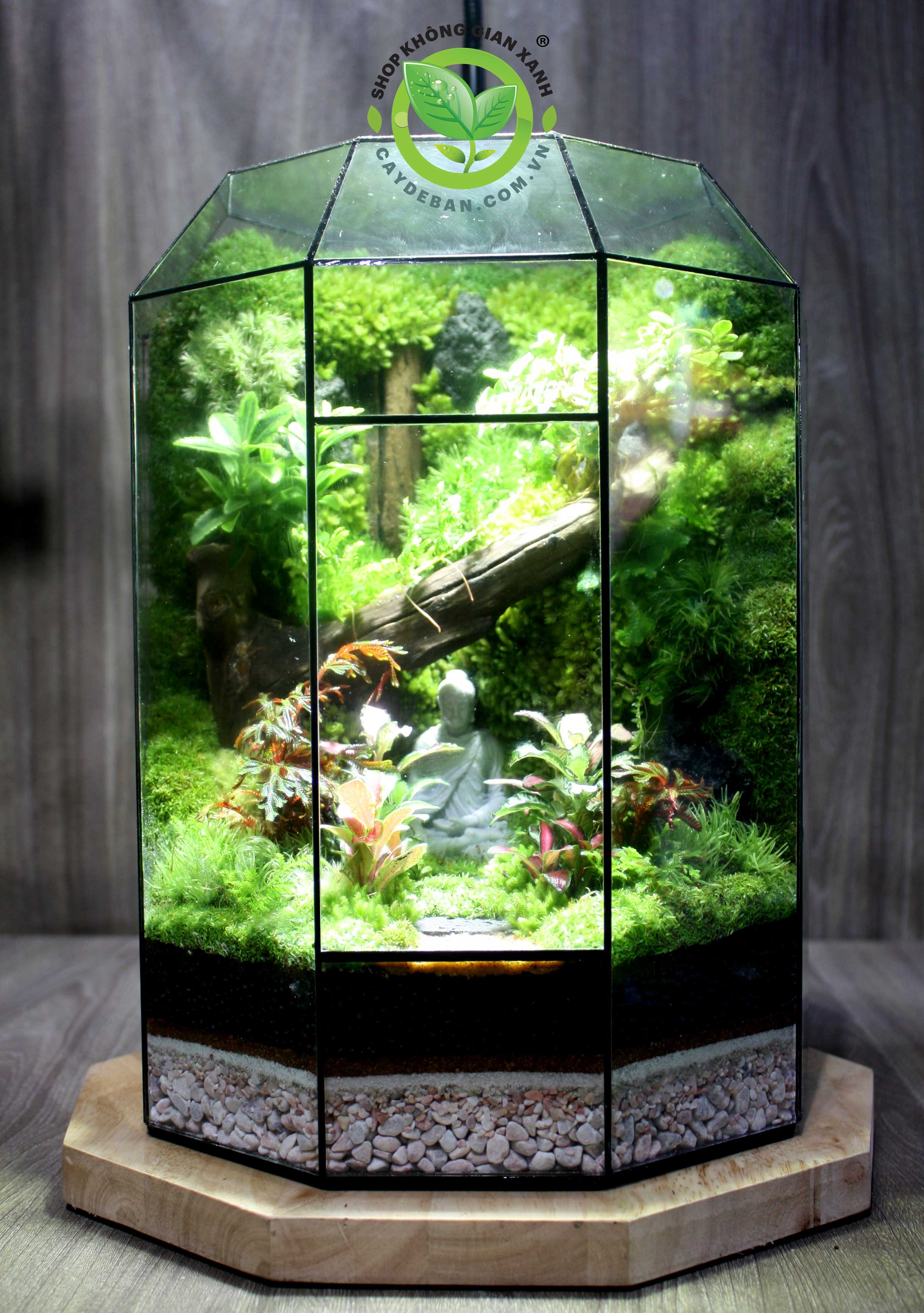 Terrarium-MS017.5