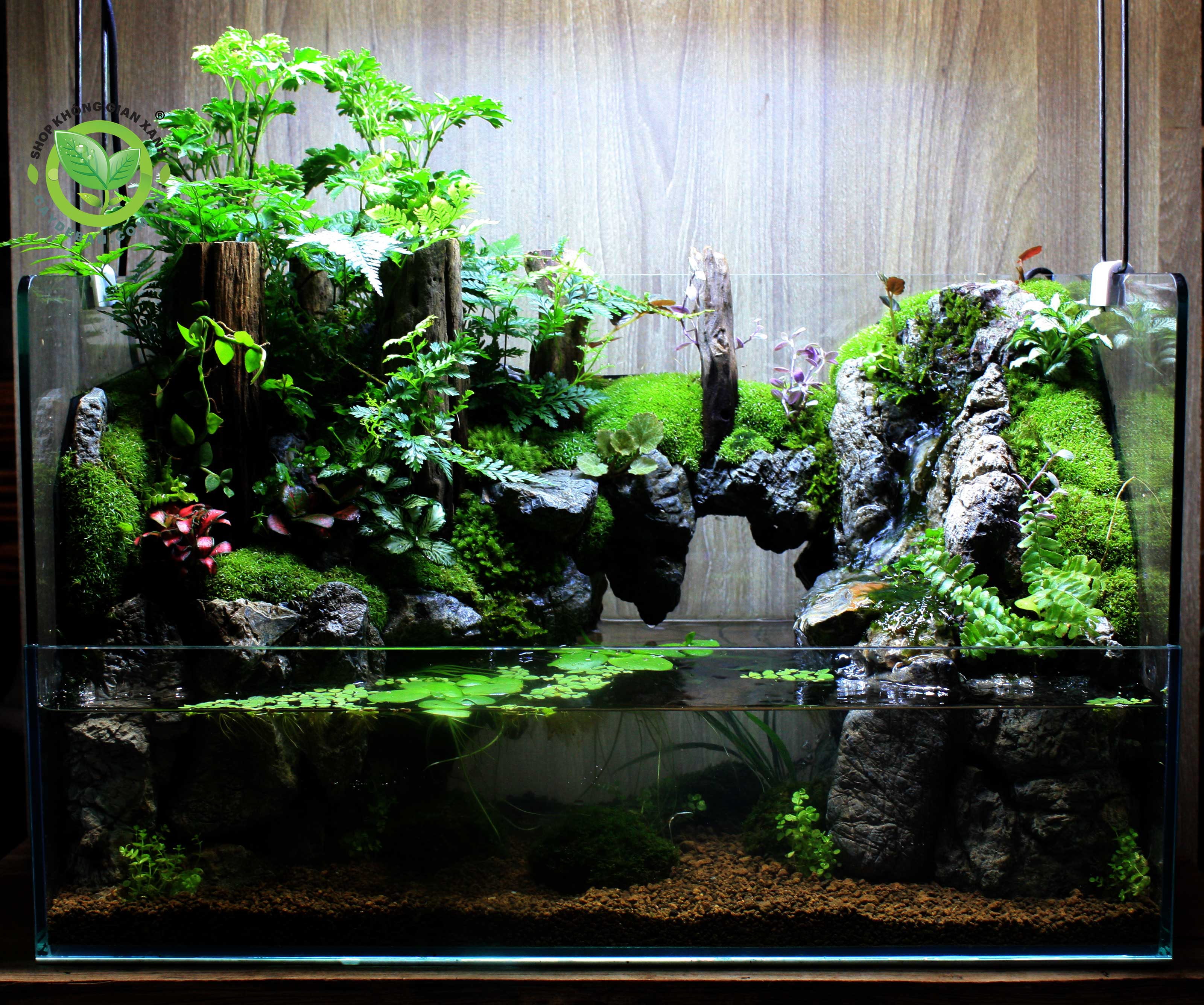 Paludarium-50.25.30
