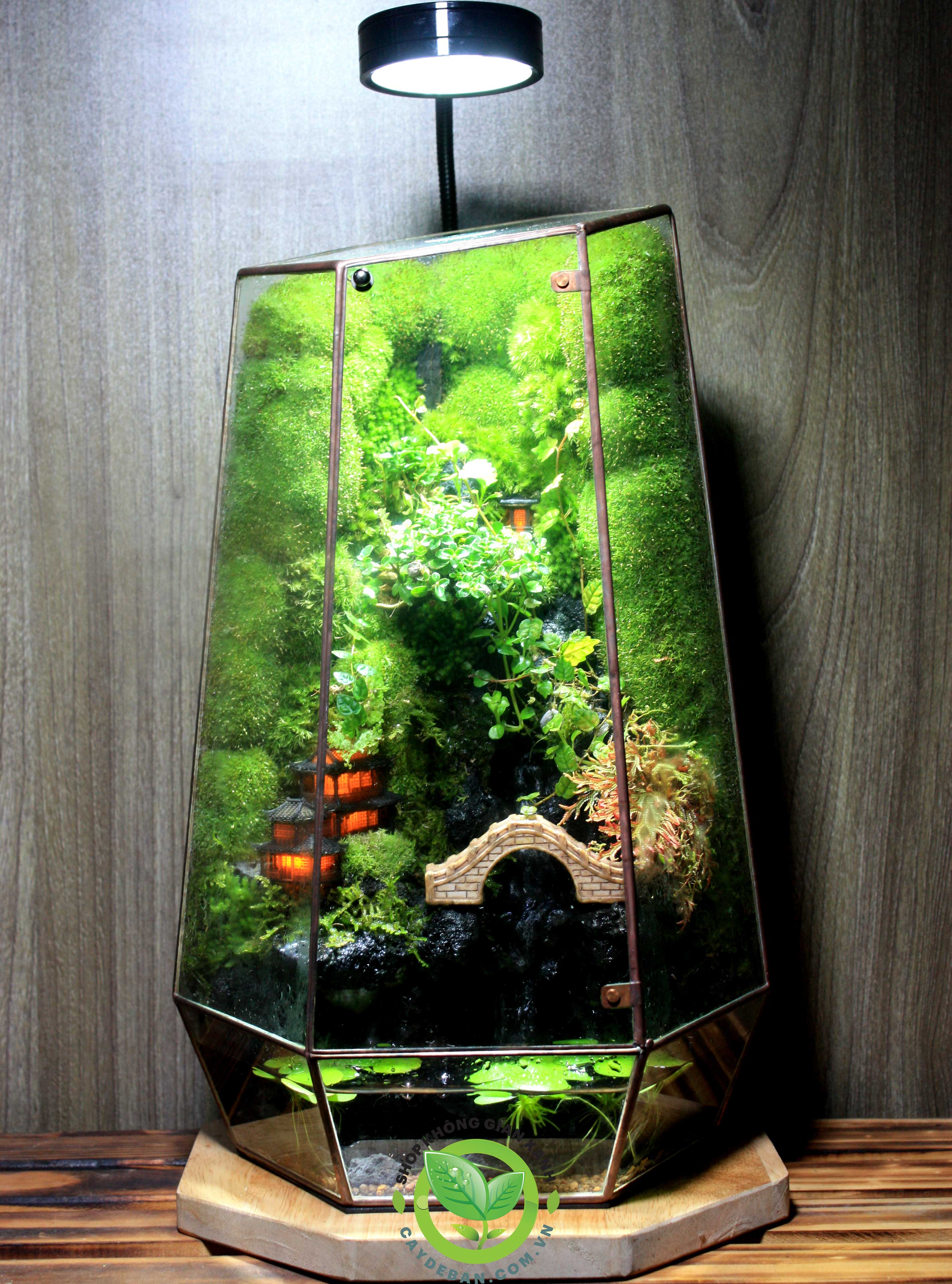 Paludarium Mountain 0.1