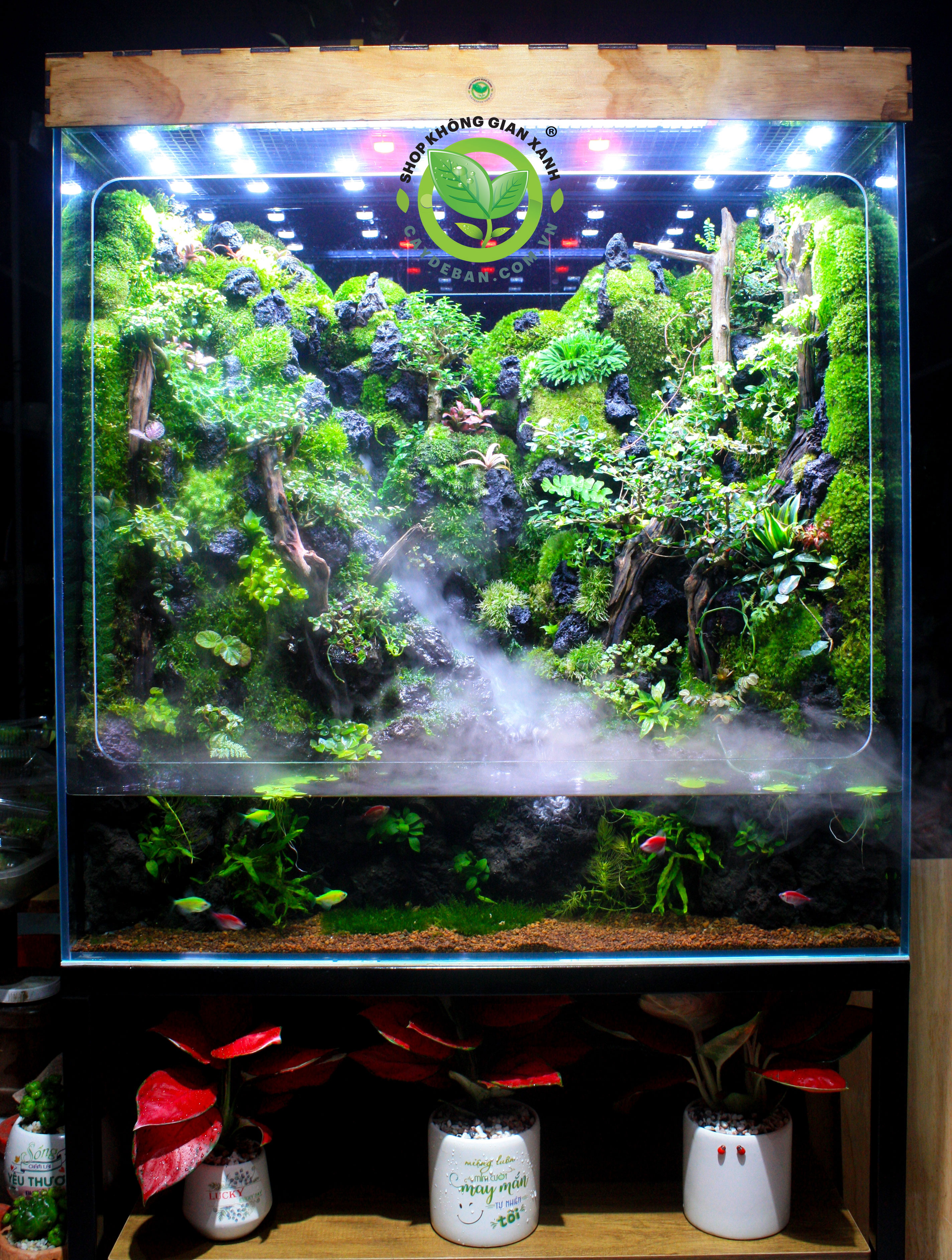 Rainforest Mưa Qua Núi Rừng