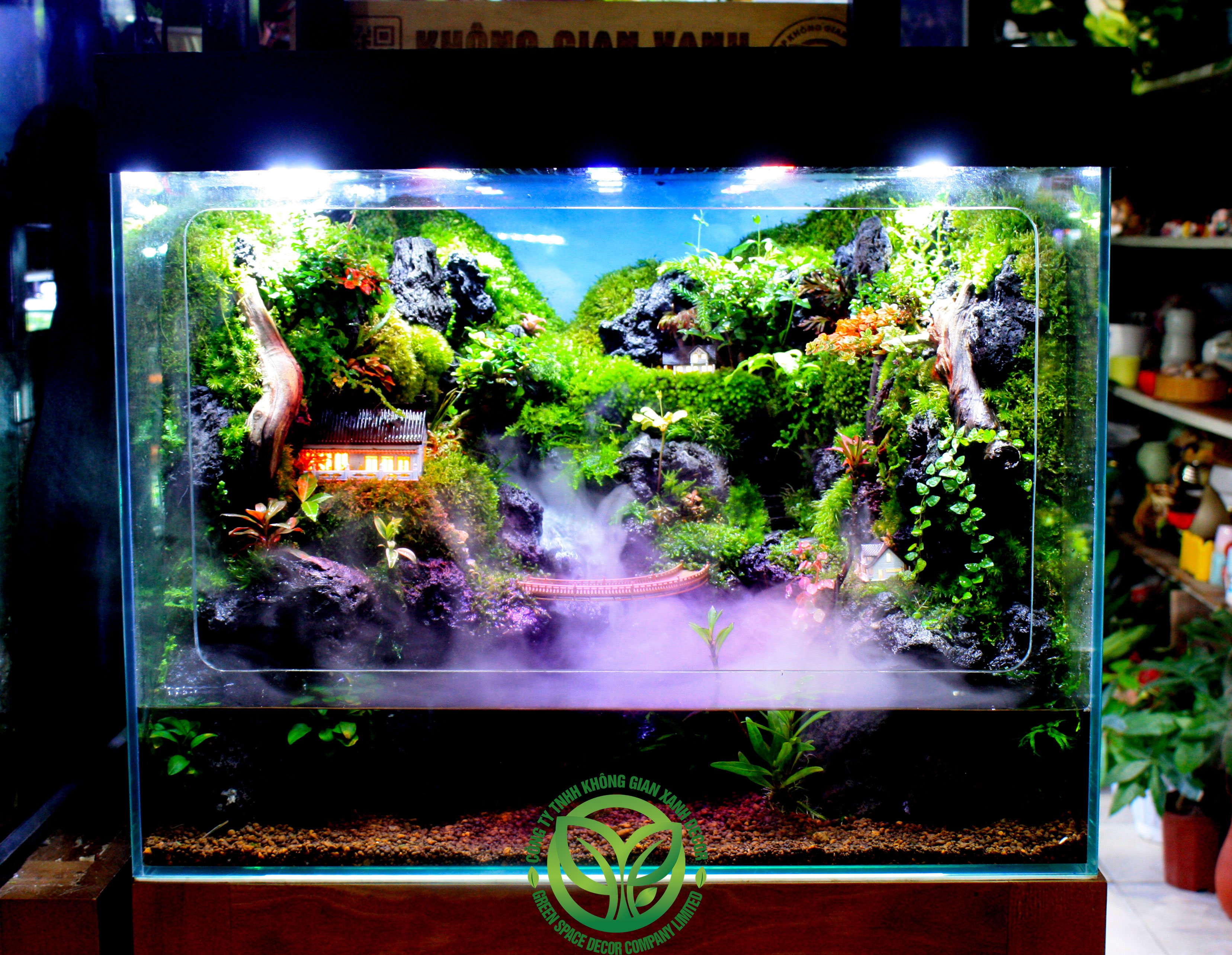 Mưa Chiều Bên Ô Cửa