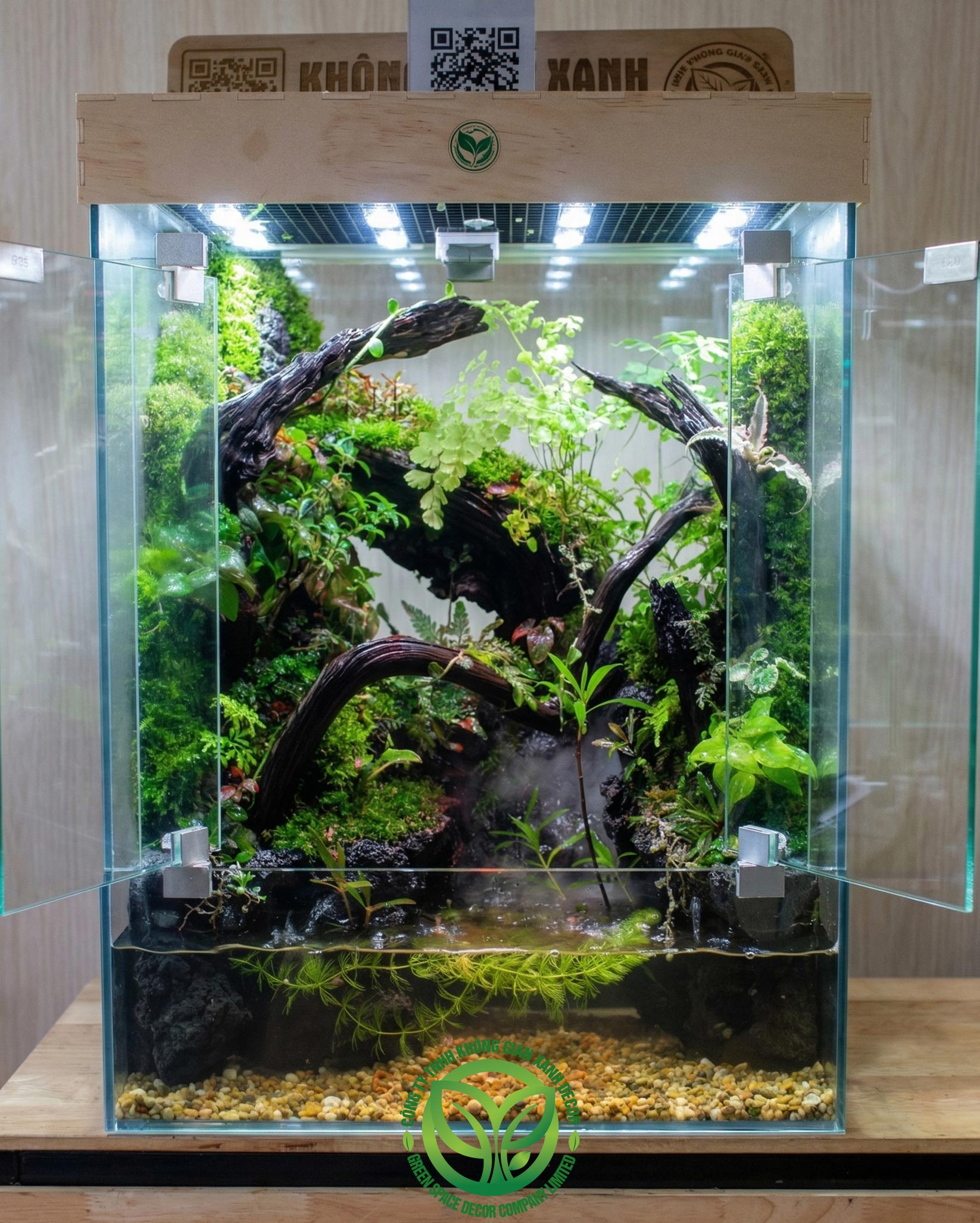Rainforest Mưa Giữa Suối Rừng 50.35.68