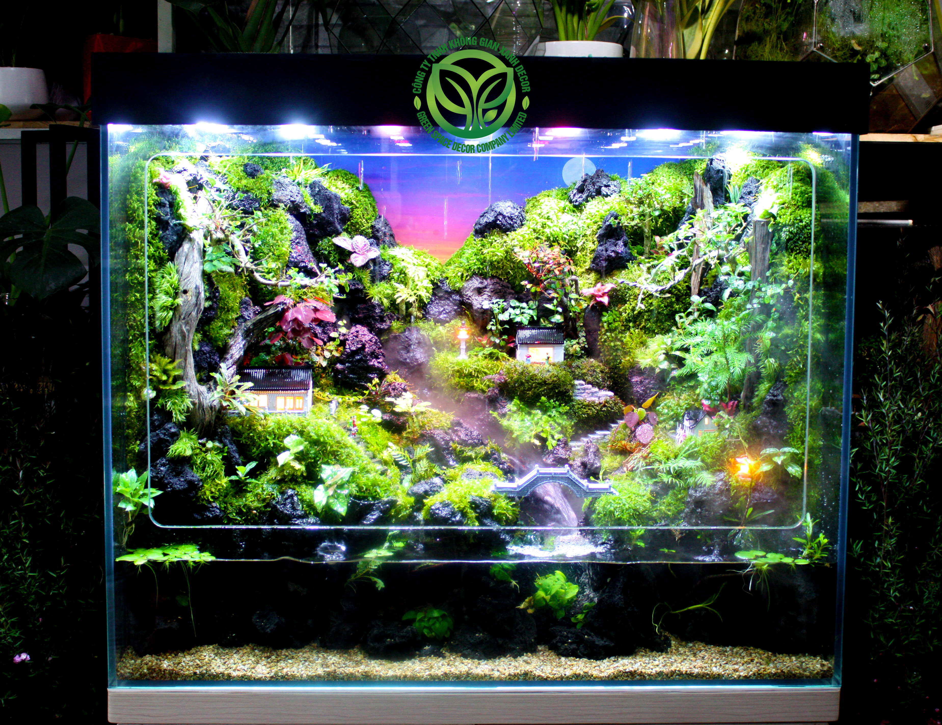 Mưa Trên Phố Núi - Rainforest 80.40.68