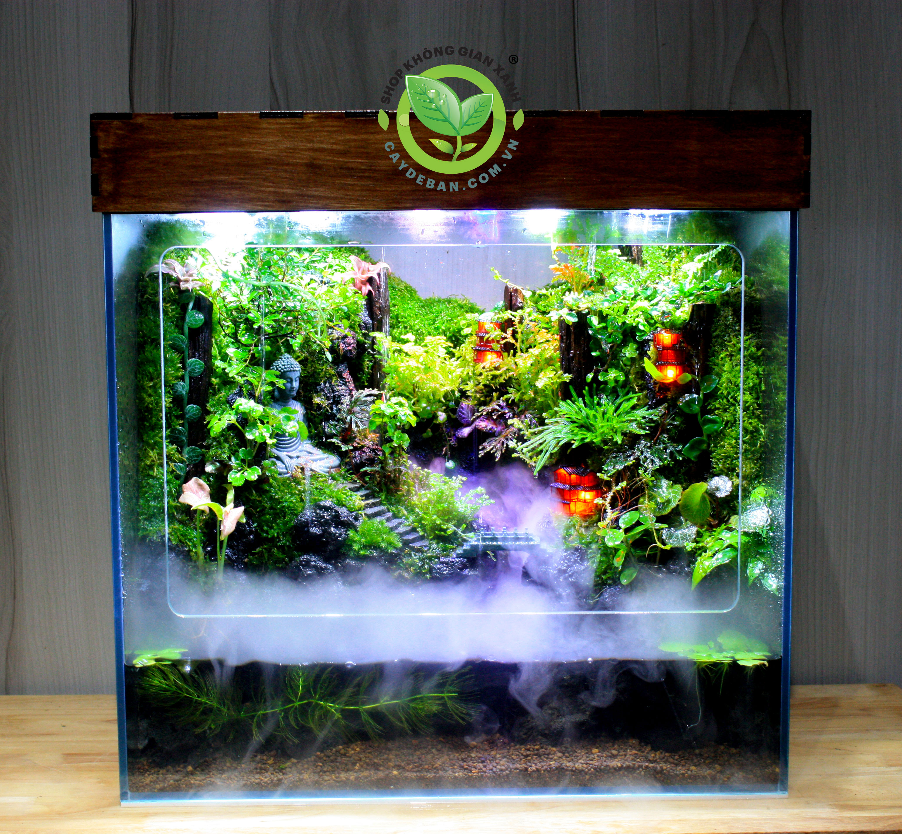 Mưa Trên Đại Ngàn 50.30.50