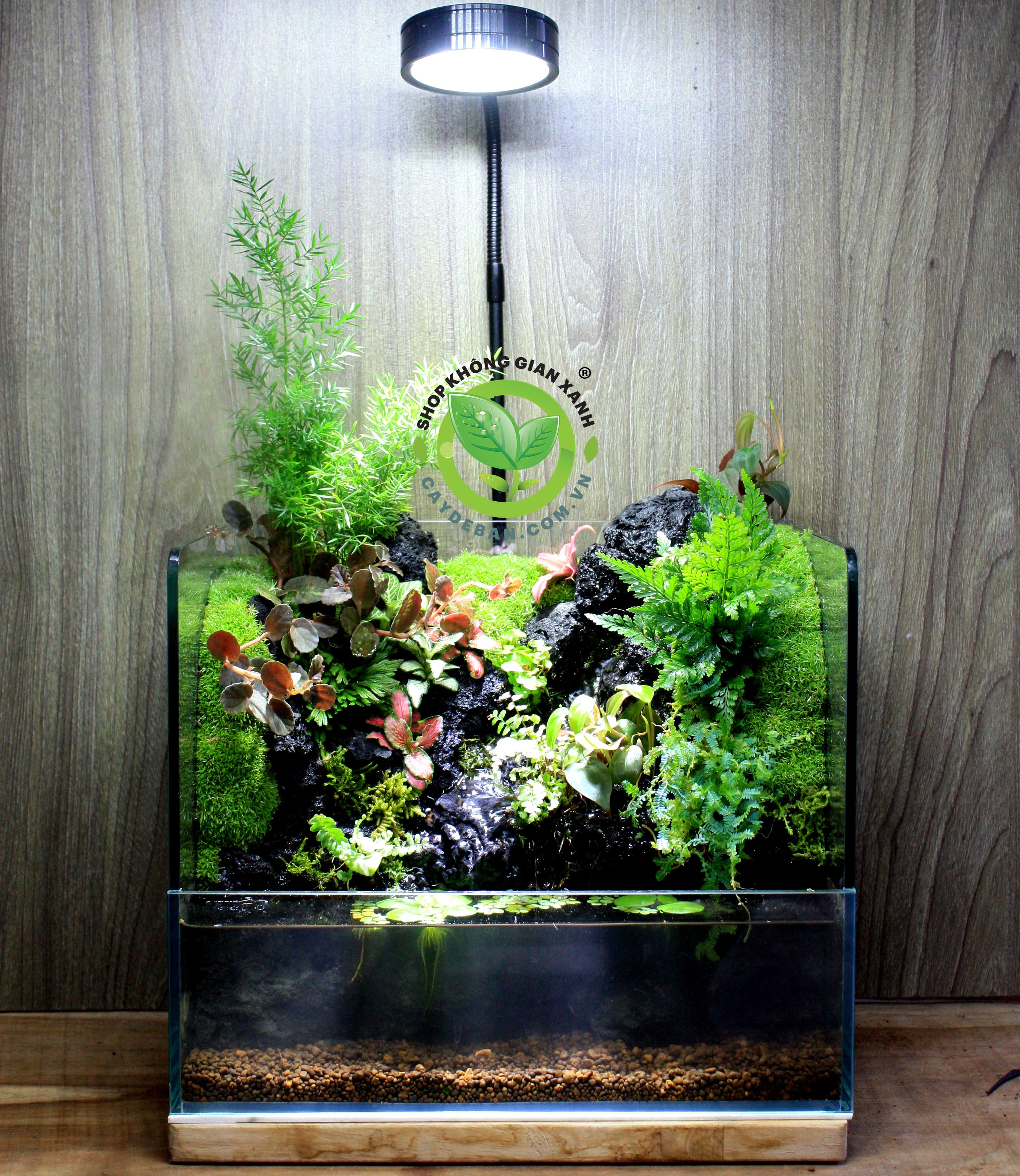 Paludarium Suối Nhỏ