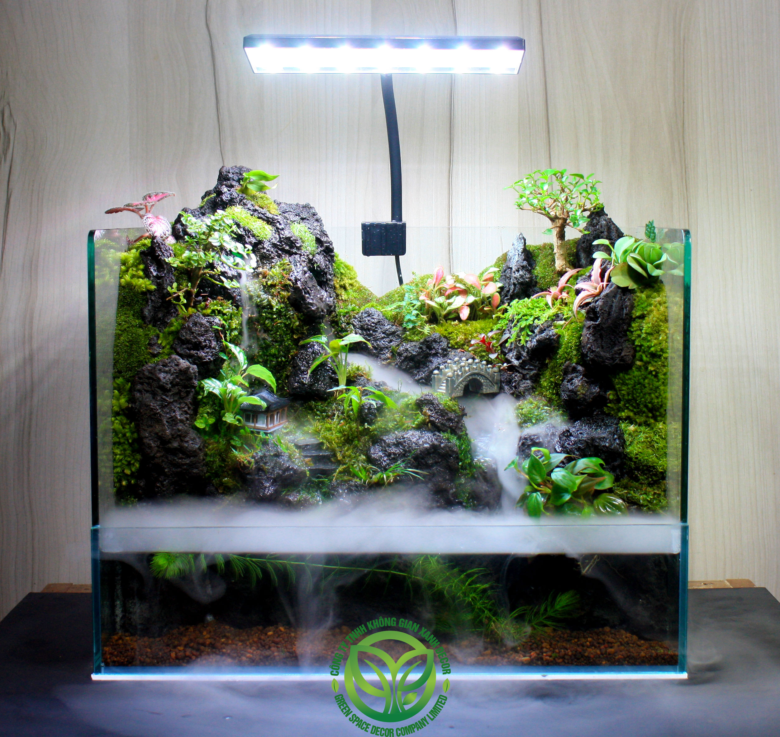 Paludarium - Bán cạn 40.25.30
