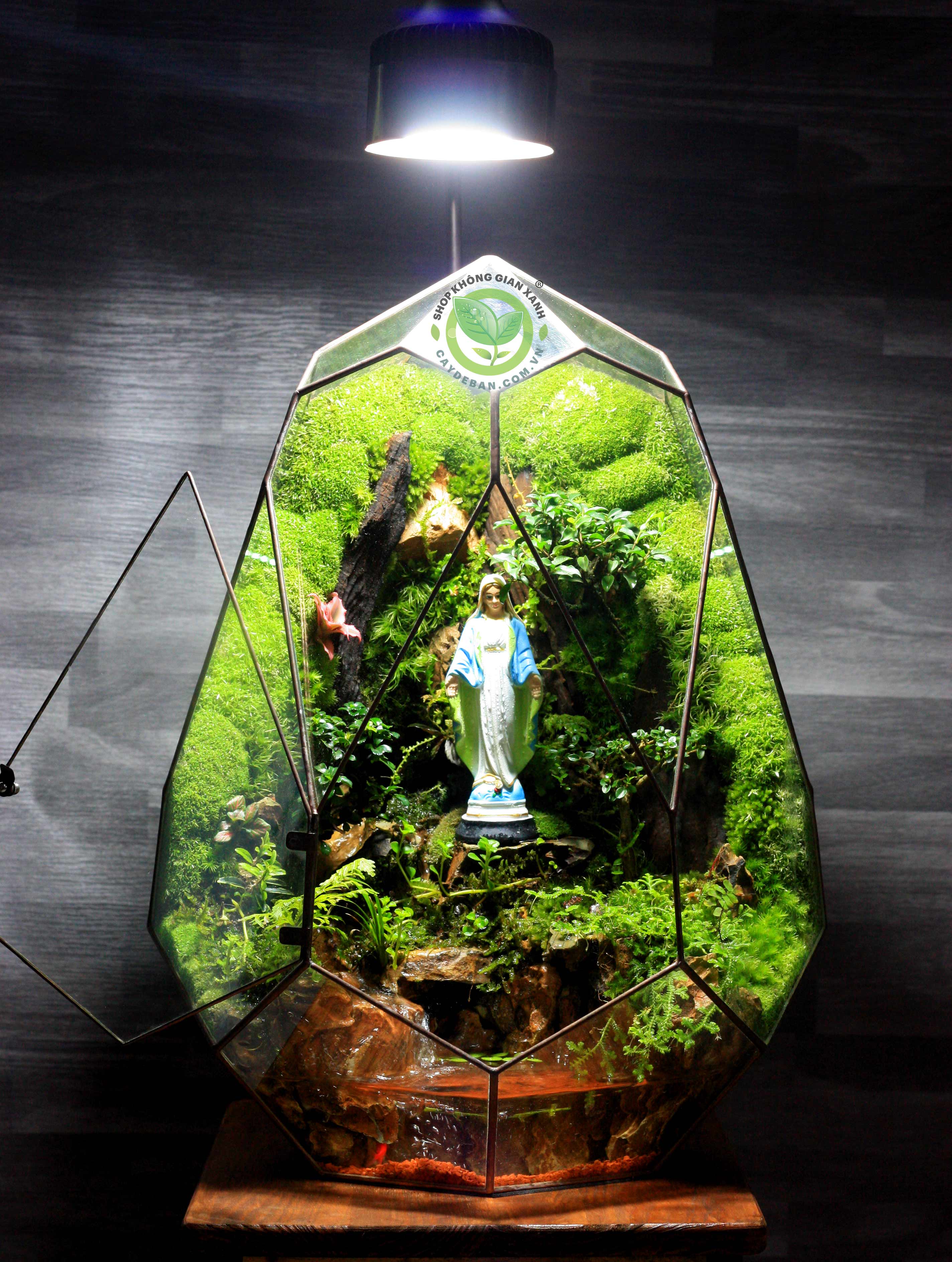 Terrarium-Mẹ Bình An