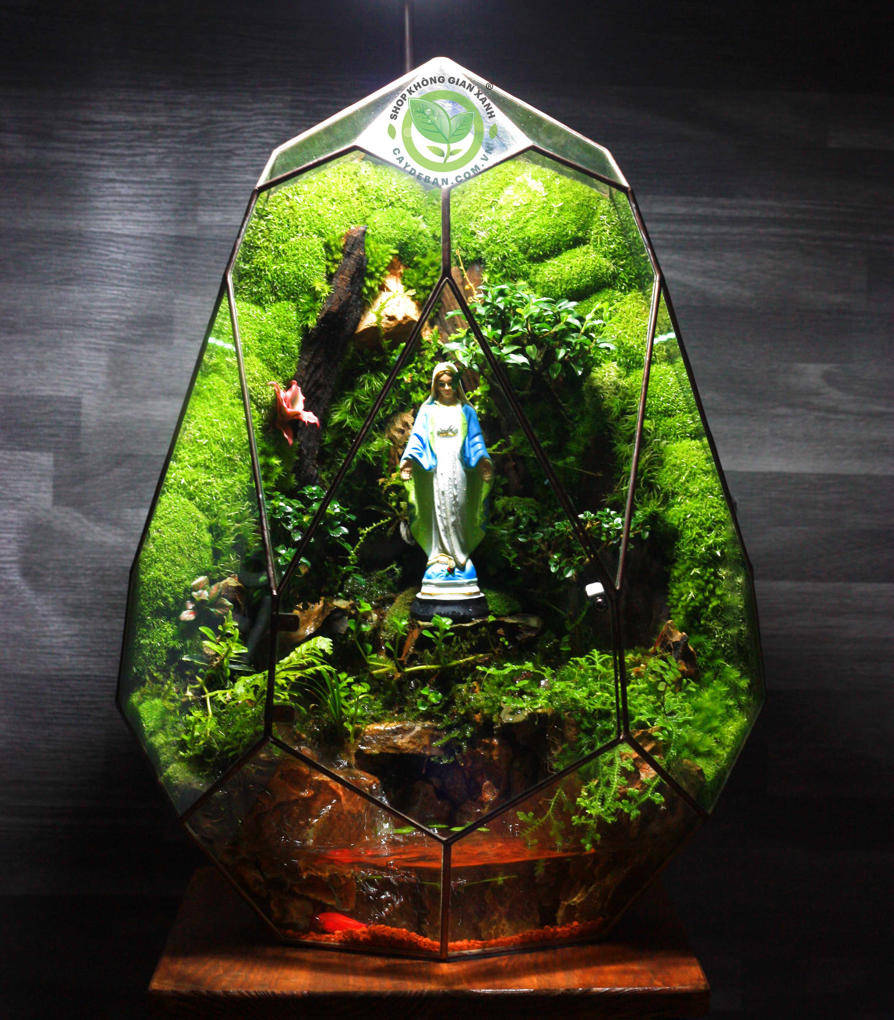 Paludarium - Phoenix Egg 50.2 - Giáng Sinh