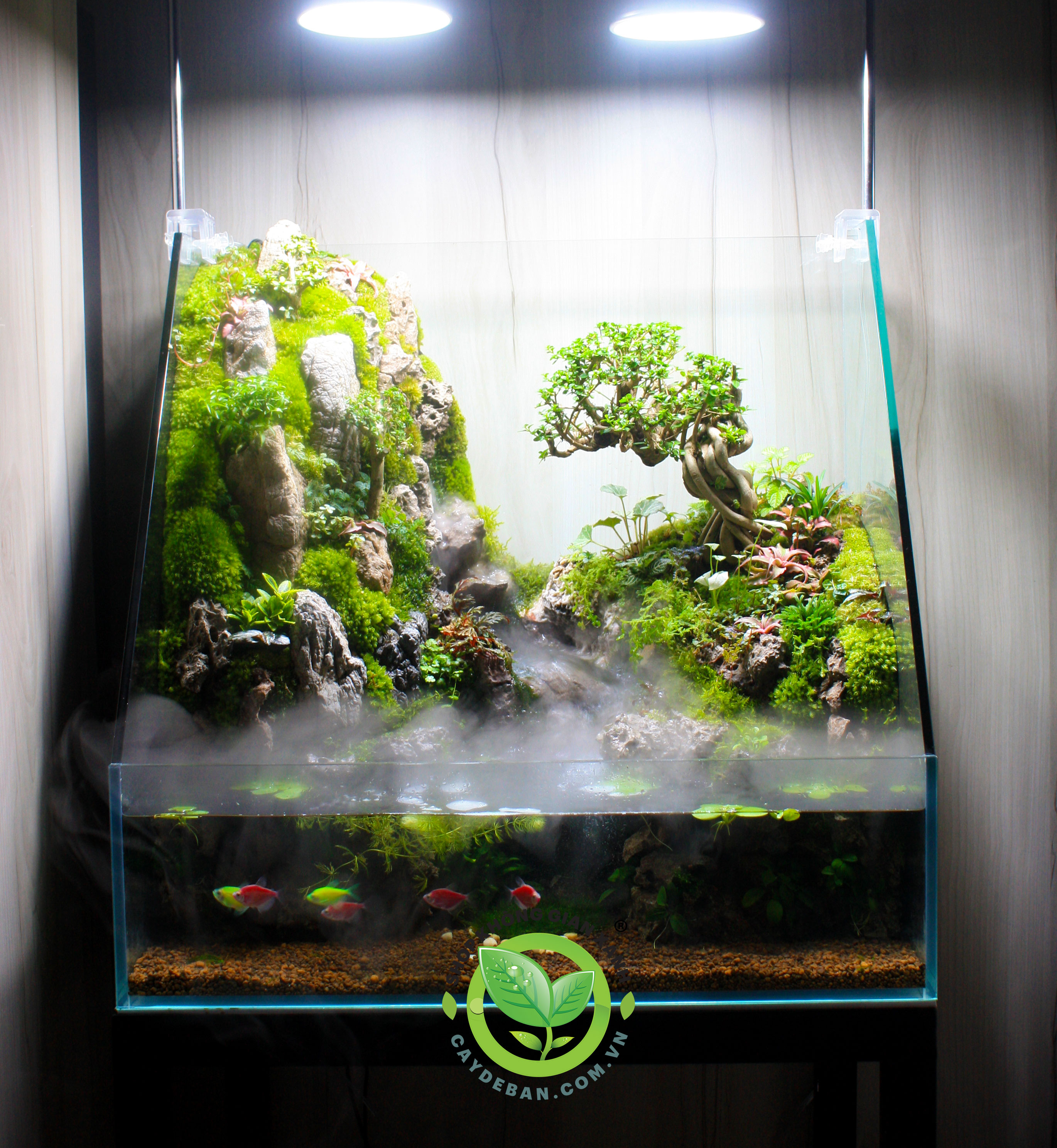 Paludarium Sơn Thuỷ 456