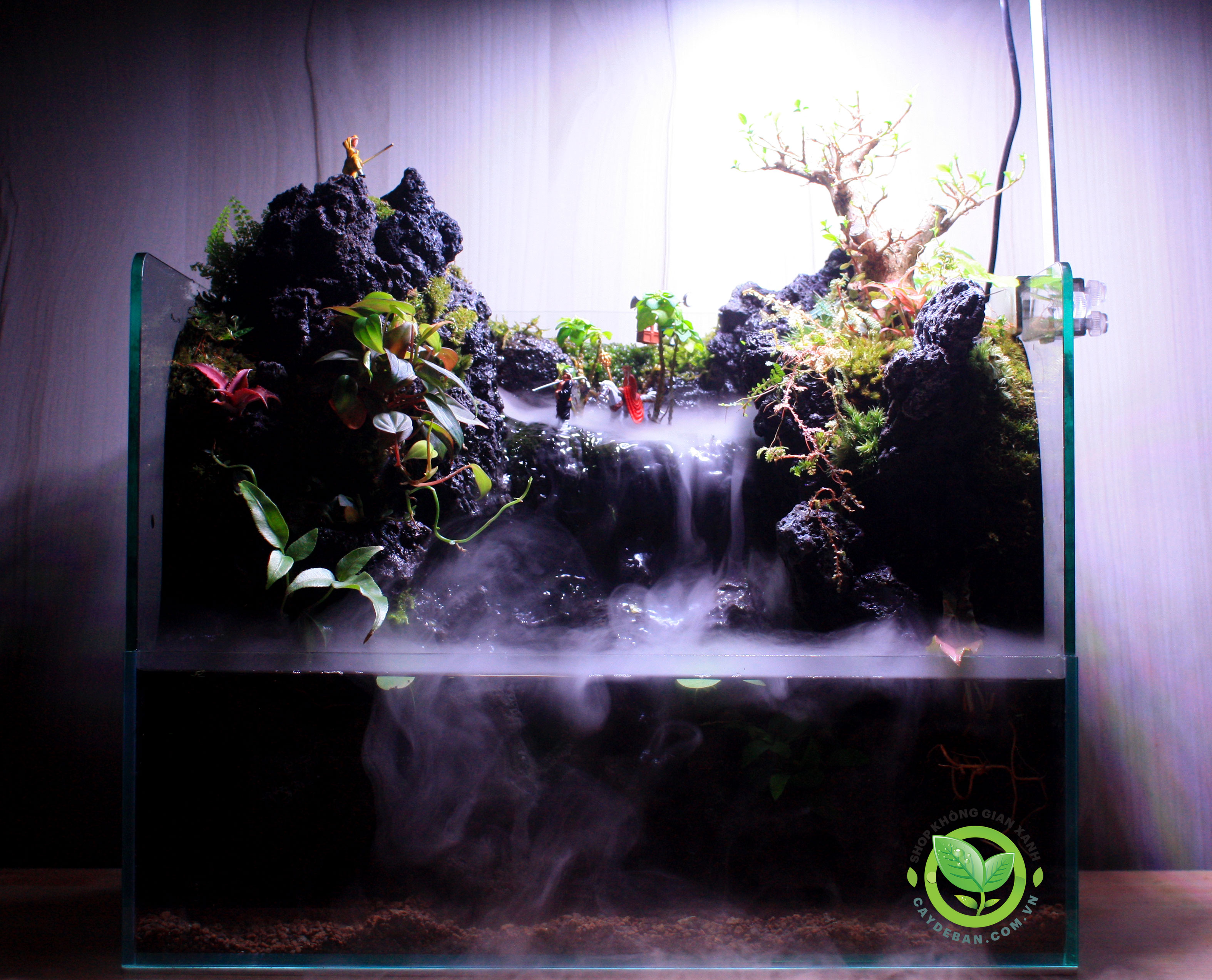 Paludarium - Tây Du Ký