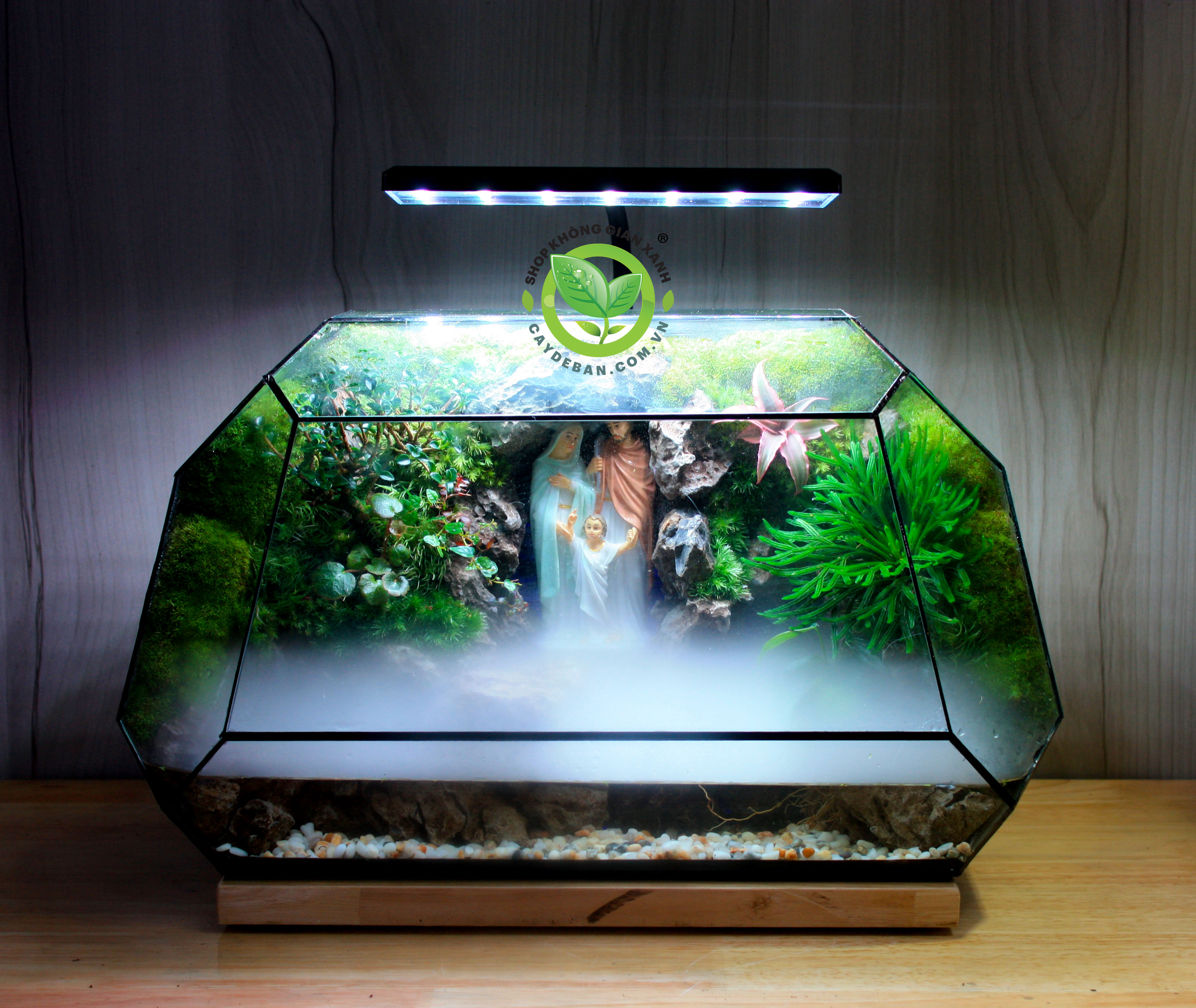 Paludarium MS10 Thánh Gia