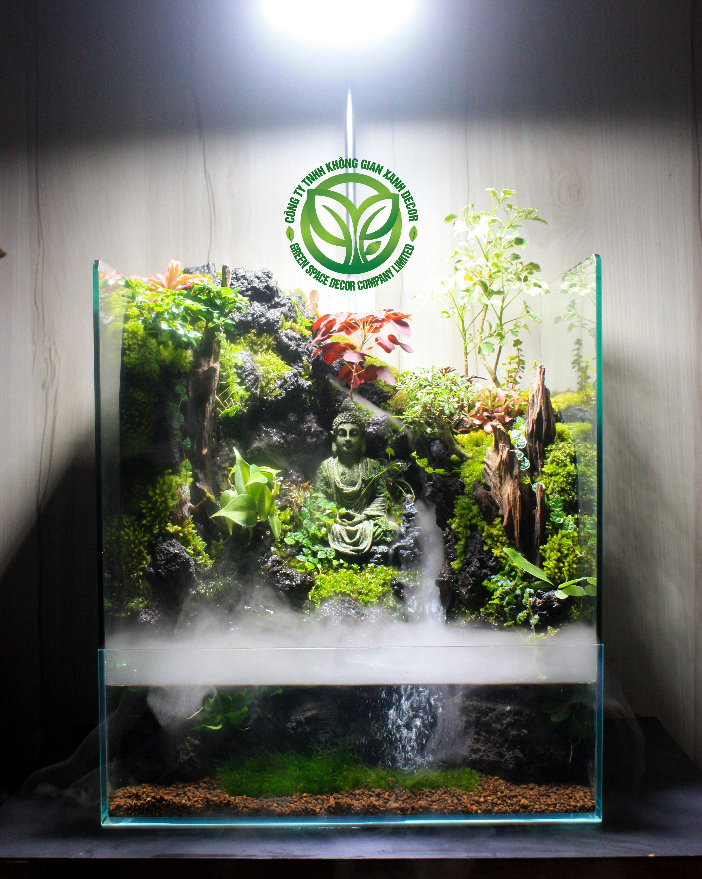 Paludarium An Nhiên