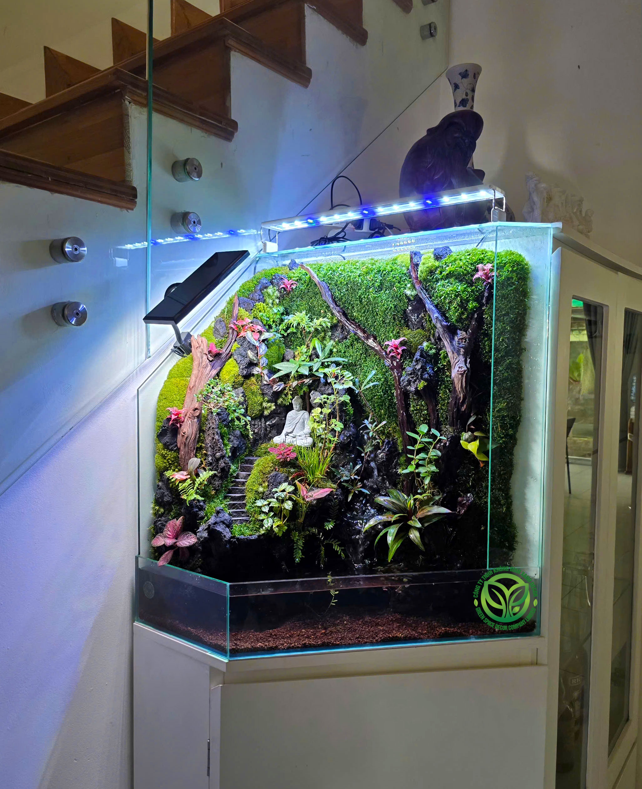 Paludarium Kệ Tủ Cầu Thang
