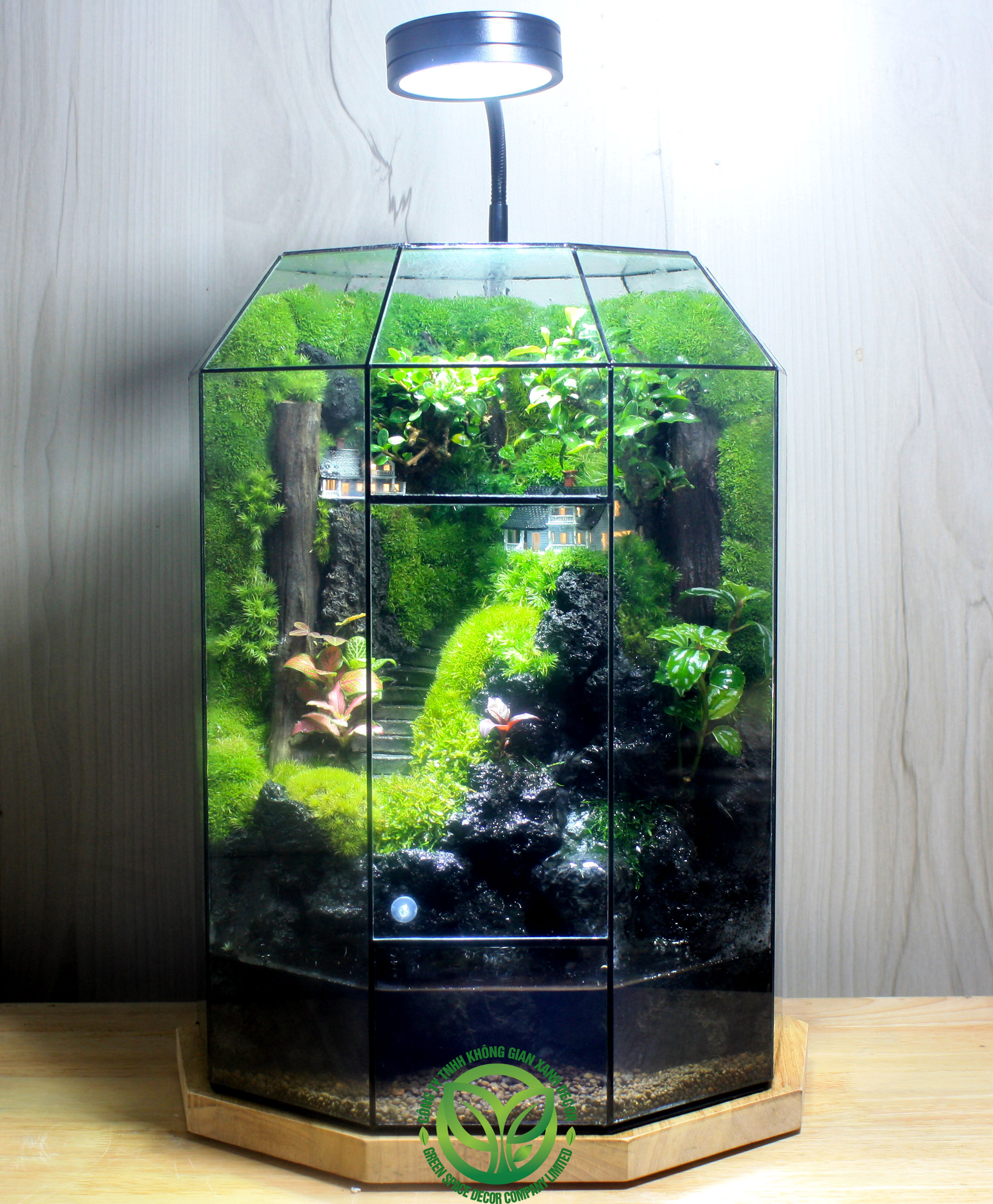 Paludarium Làng Yên Bình