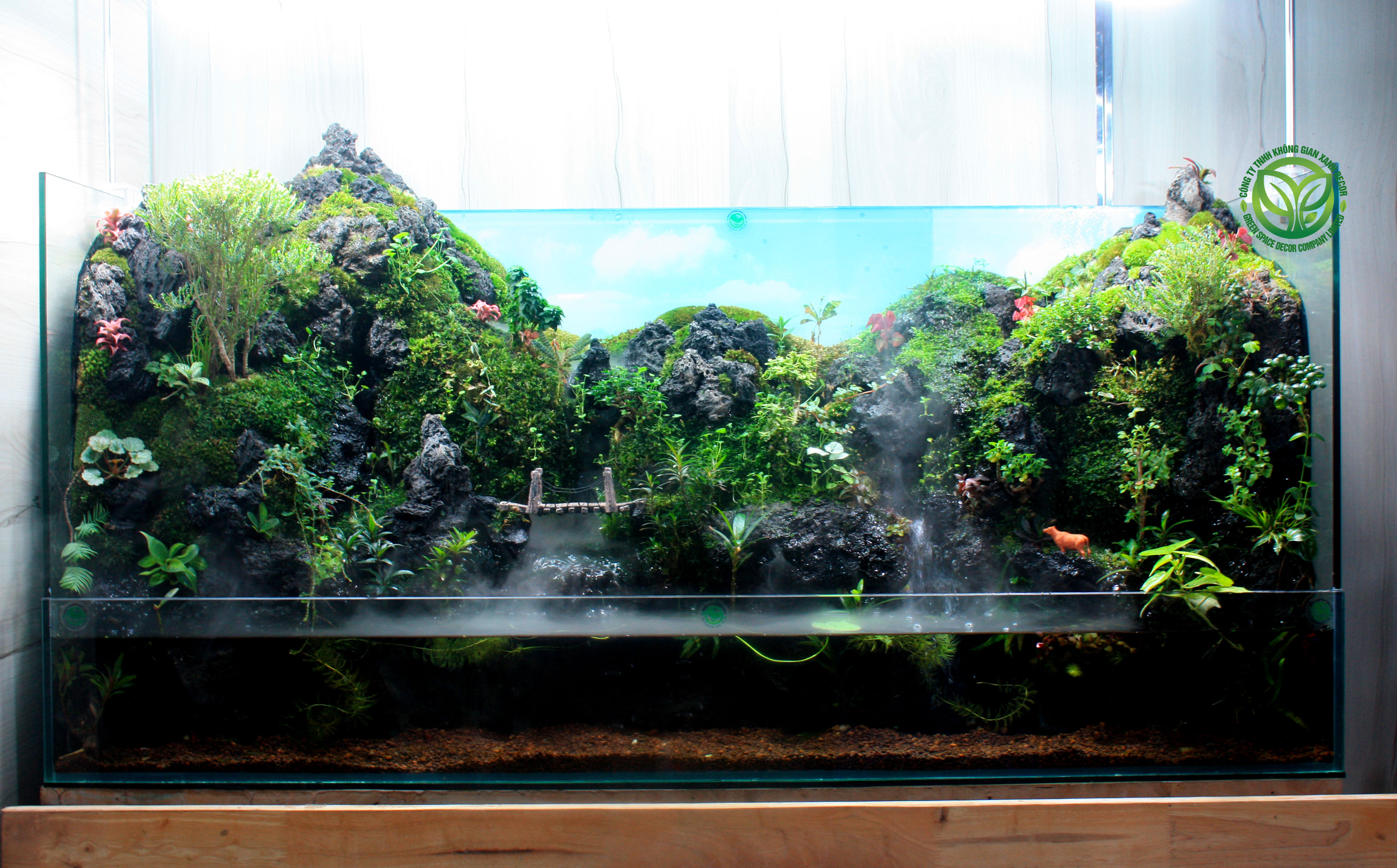 Paludarium Mây Núi Trường Sơn