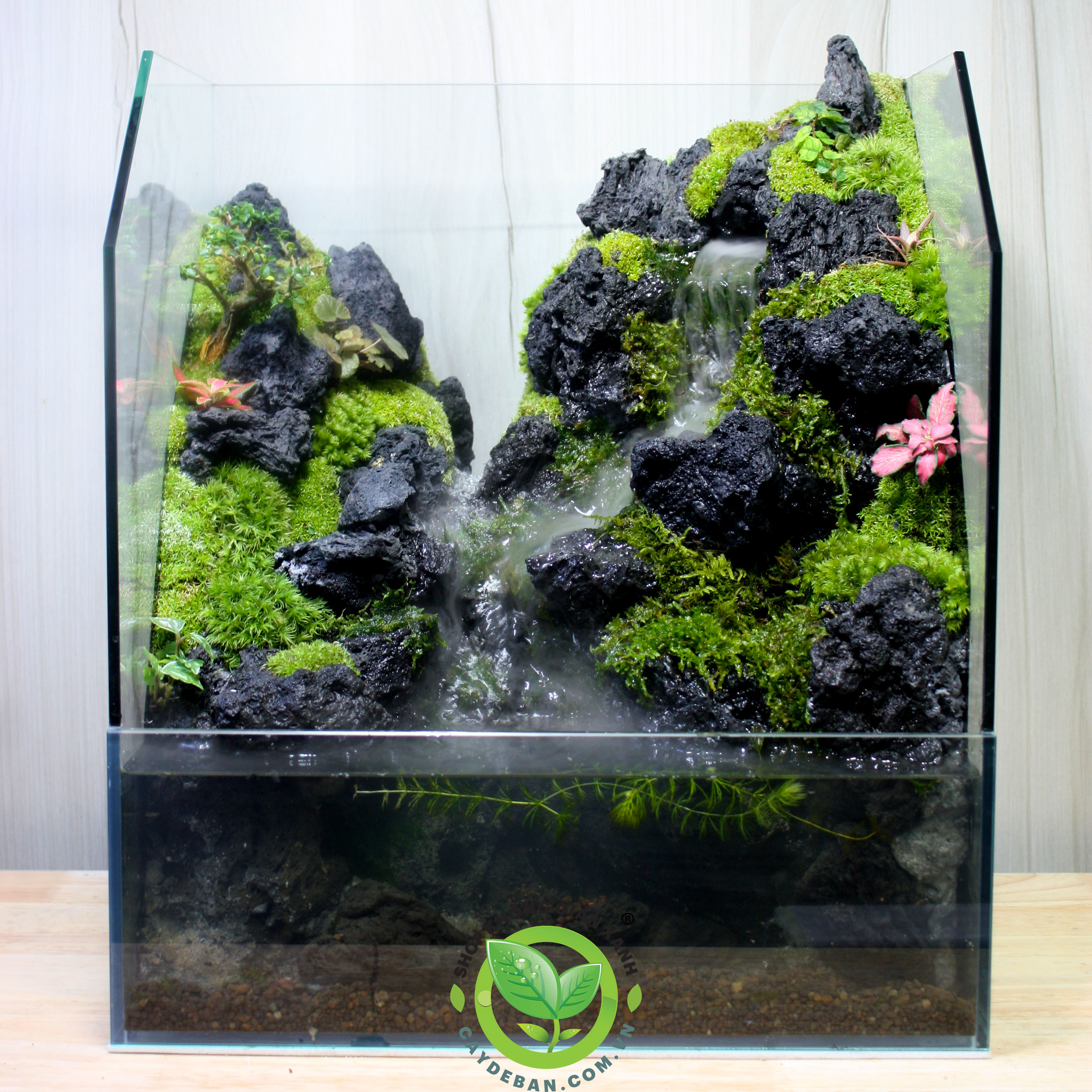 Paludarium Núi Sương Mờ