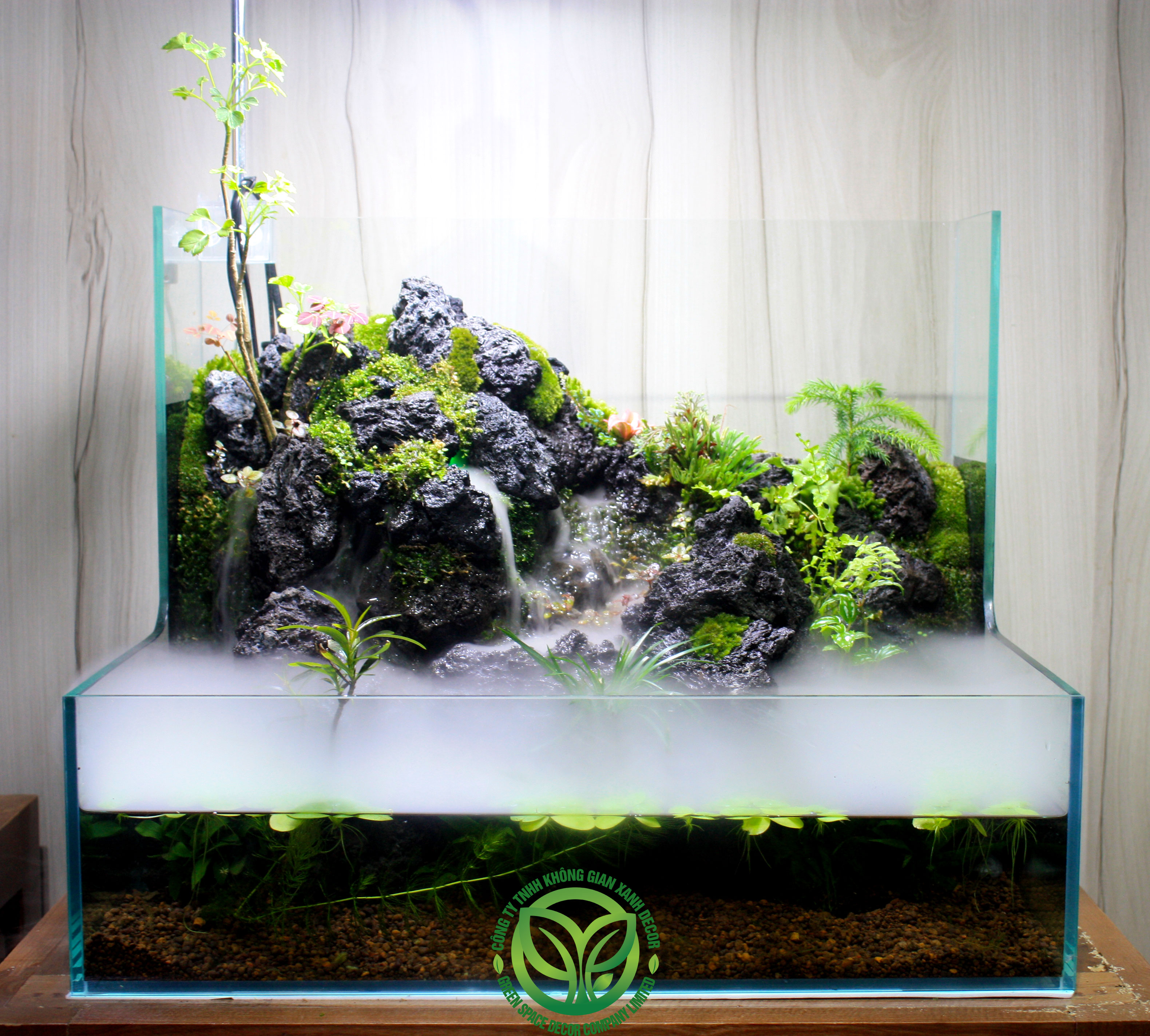 Paludarium Nuôi Cua Rùa