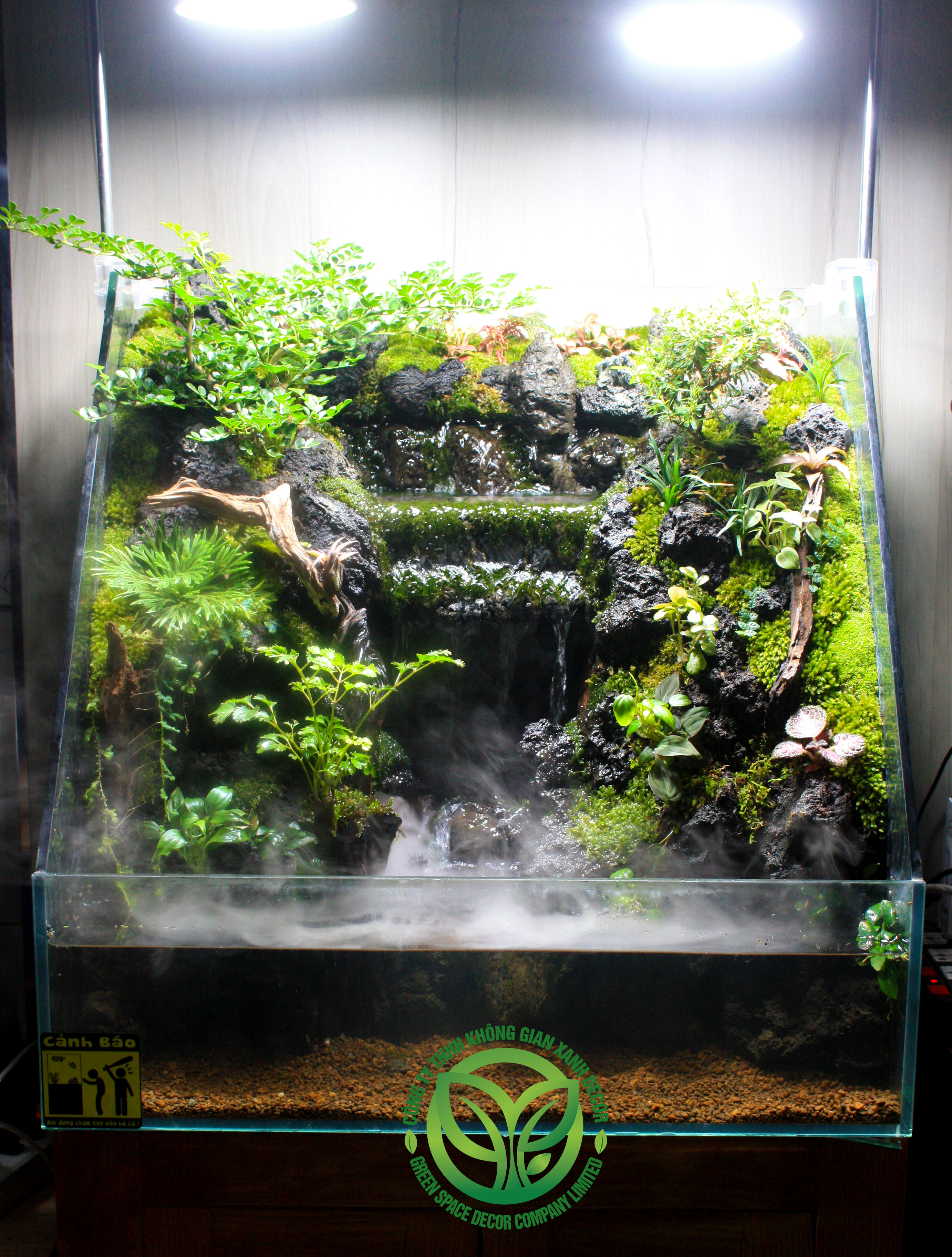 Paludarium Thác Sương Mai