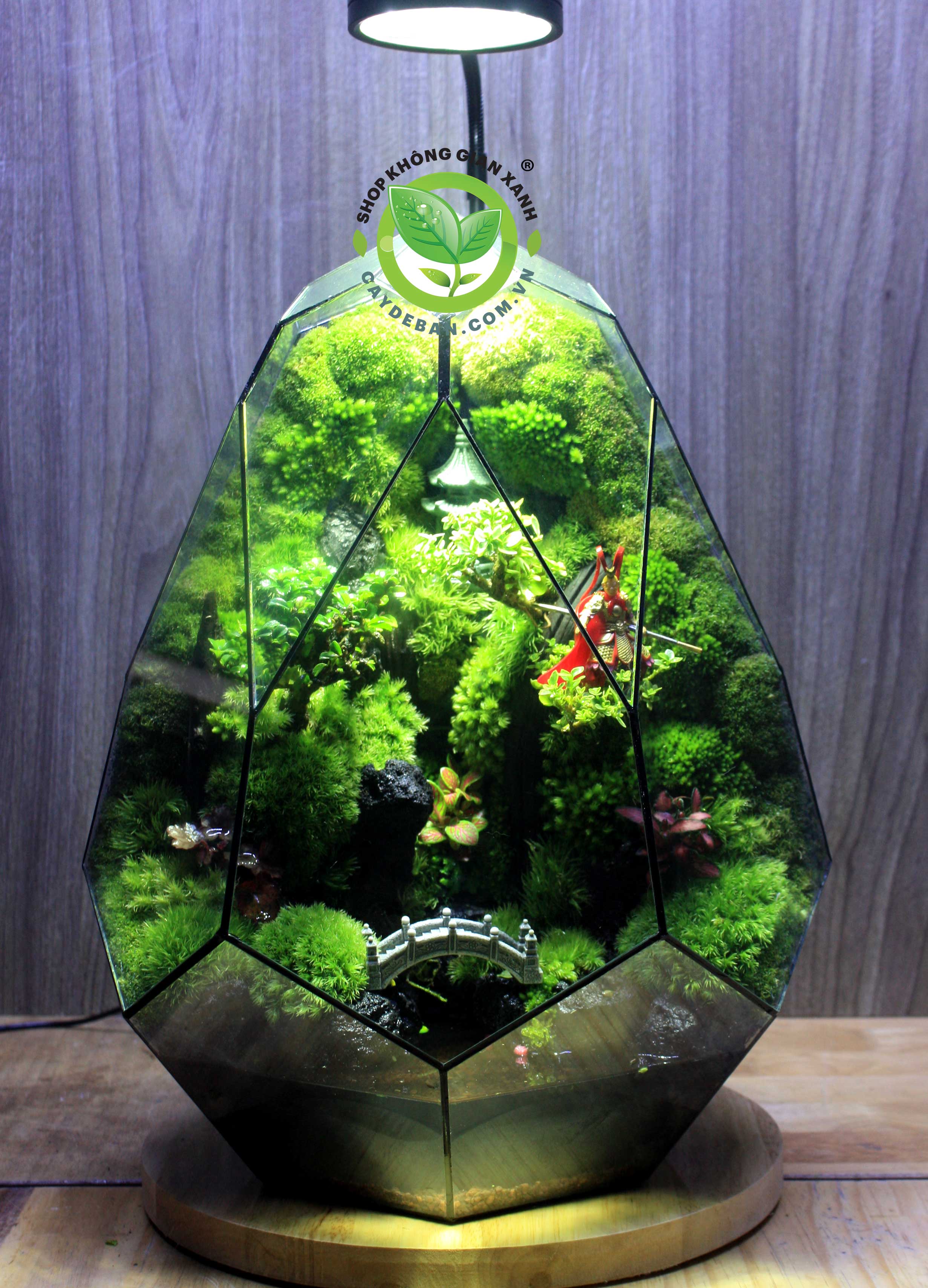 Paludarium Trứng 40cm