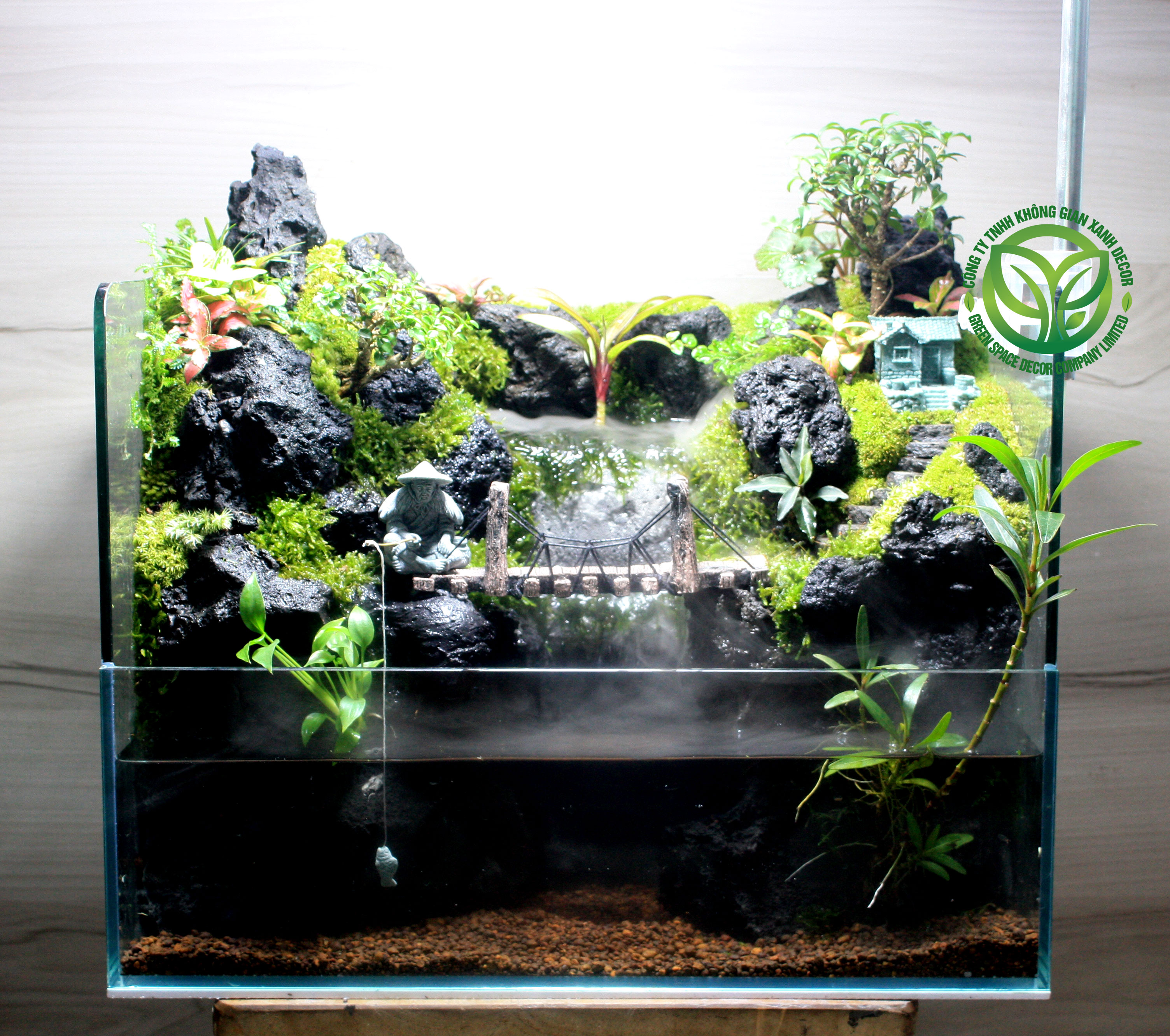 Paludarium - Thủy Mộc An