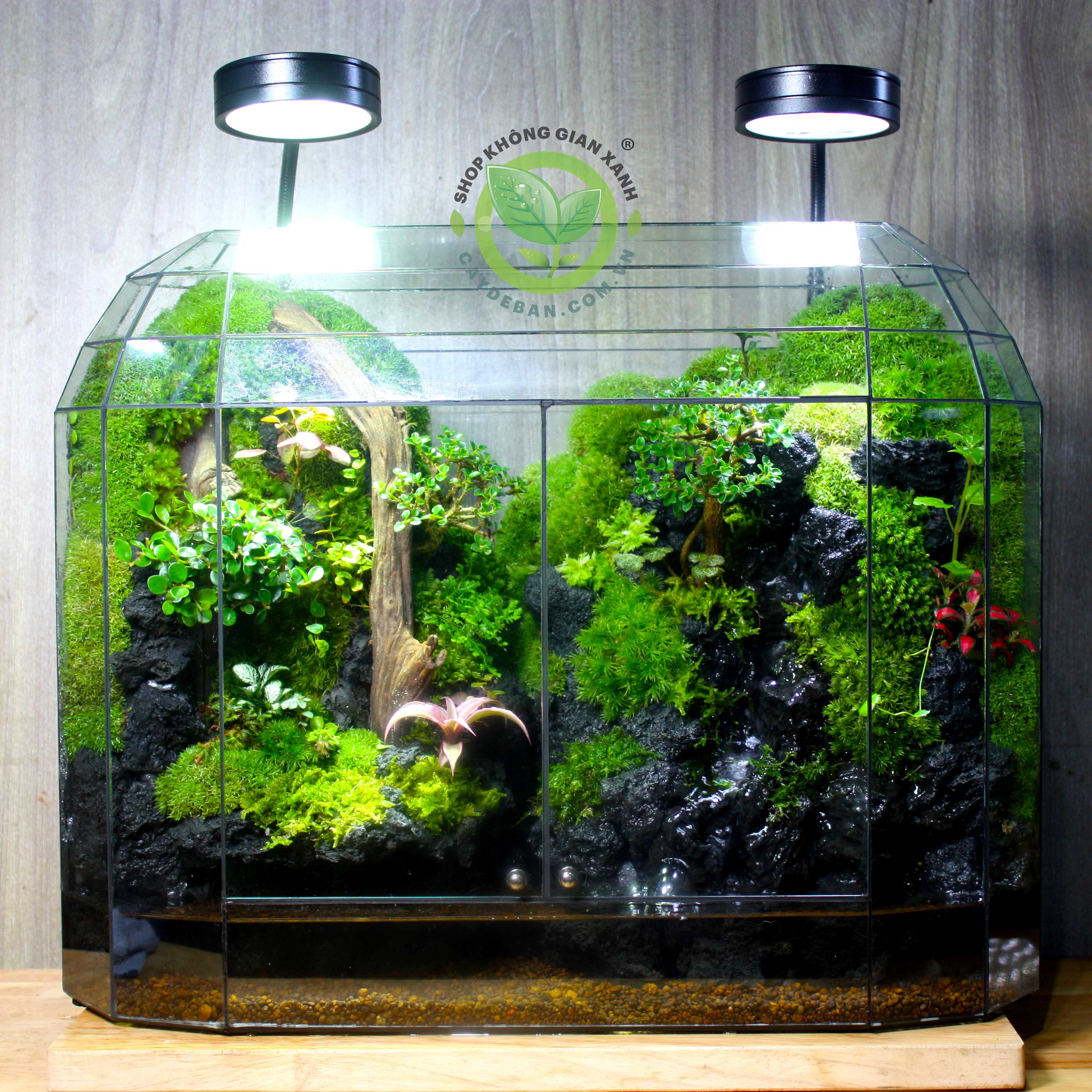 Paludarium Mountain Dome 45