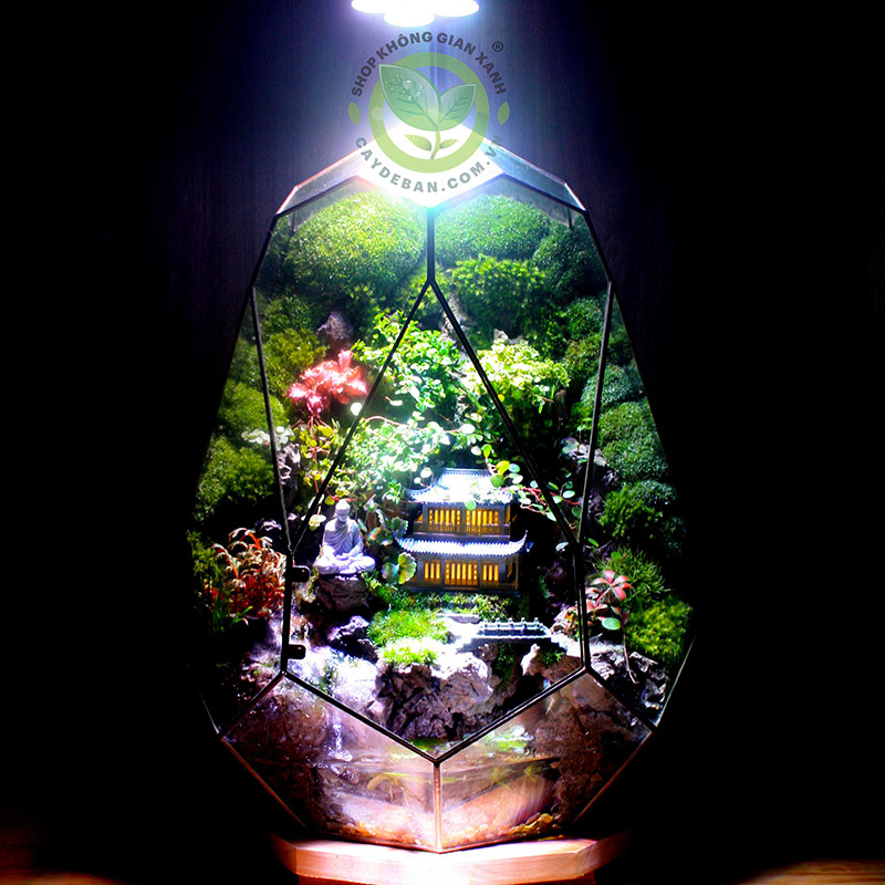 Paludarium PE50.1 - Phoenix Egg 50.1