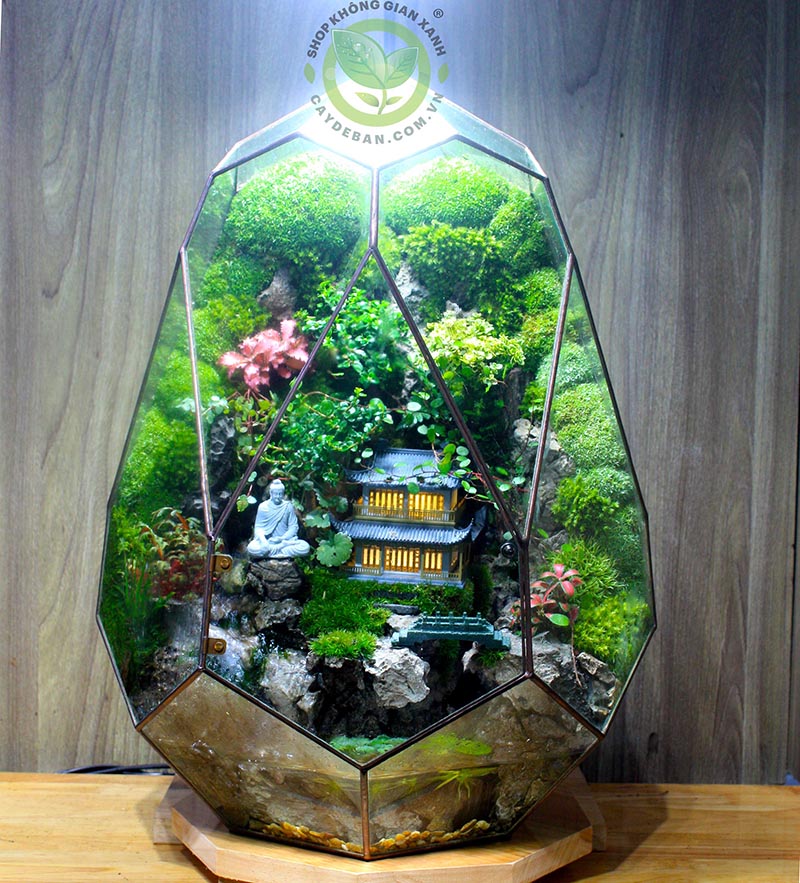 Paludarium PE50.1 - Phoenix Egg 50.1