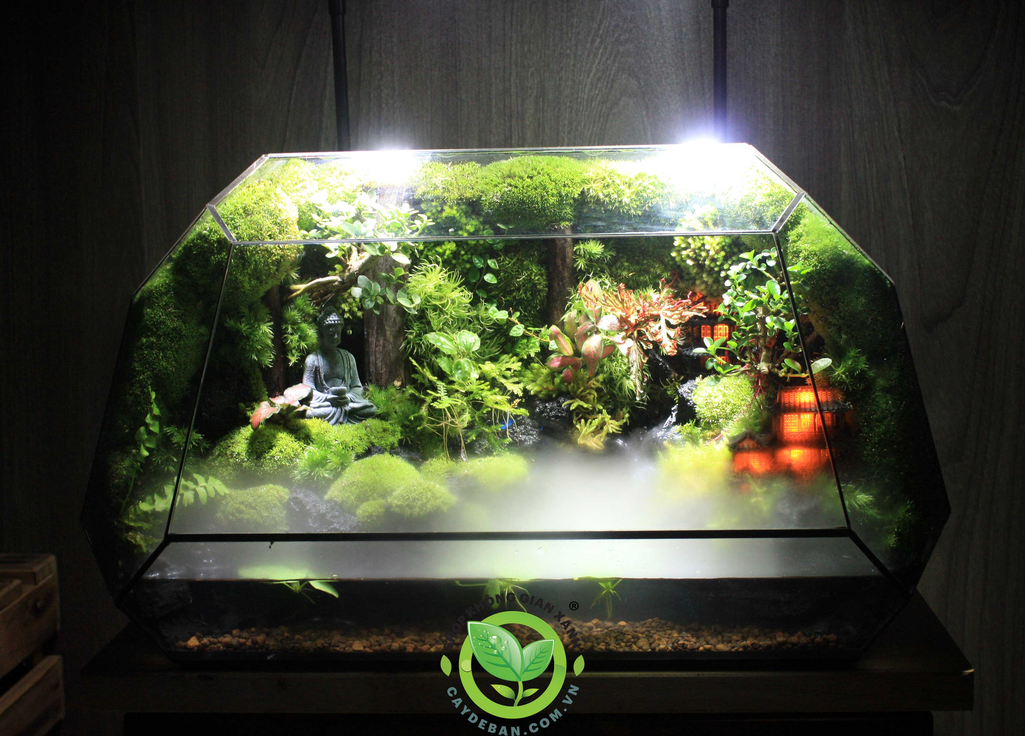Paludarium-MS10.1