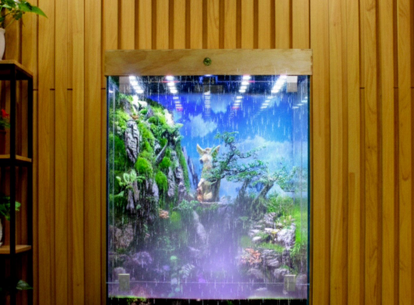 Rainforest Thánh Gia 8456