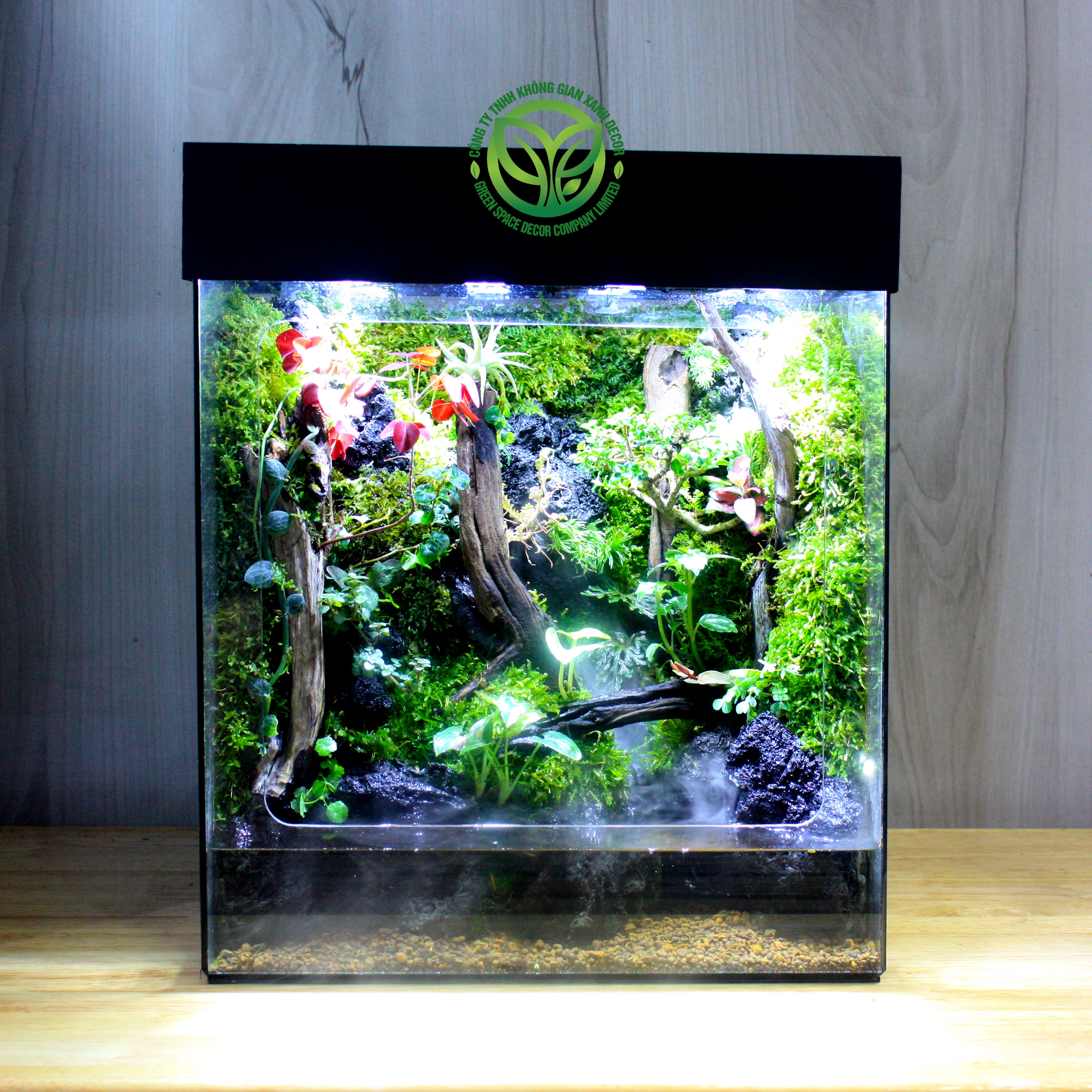 Rừng Mưa Nhiệt Đới Mini