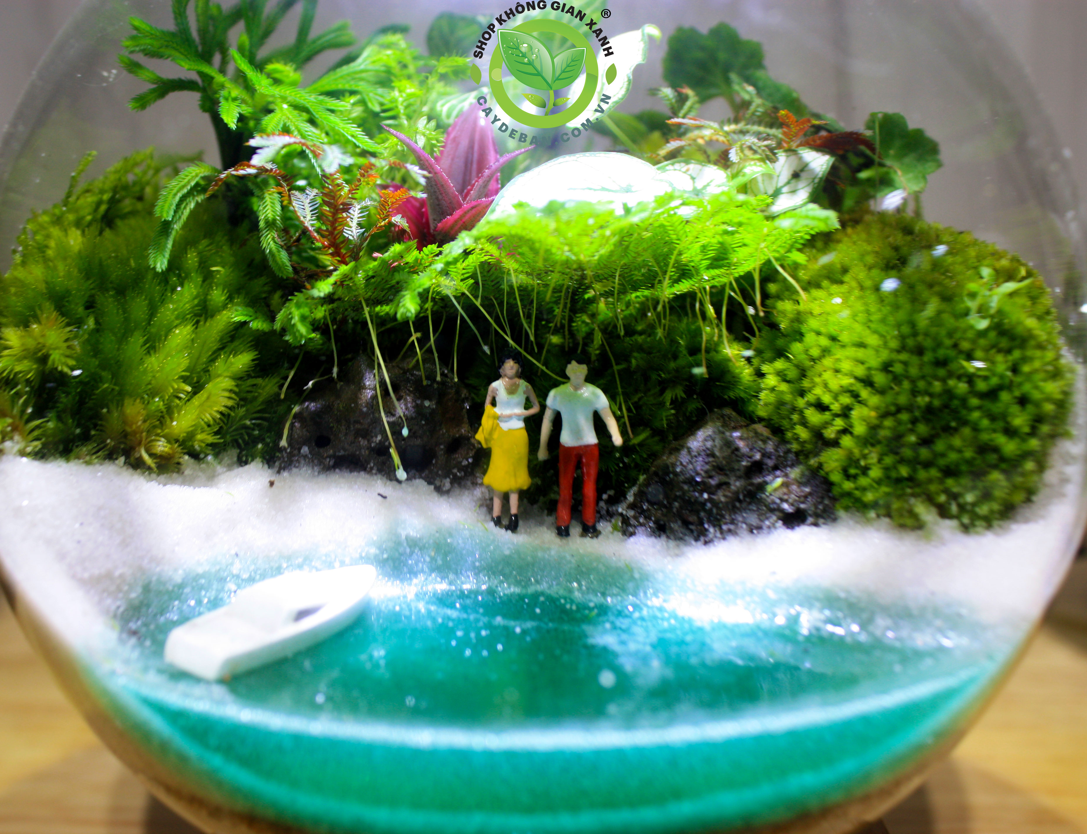 Terrarium Miền Xanh Mơ Ước