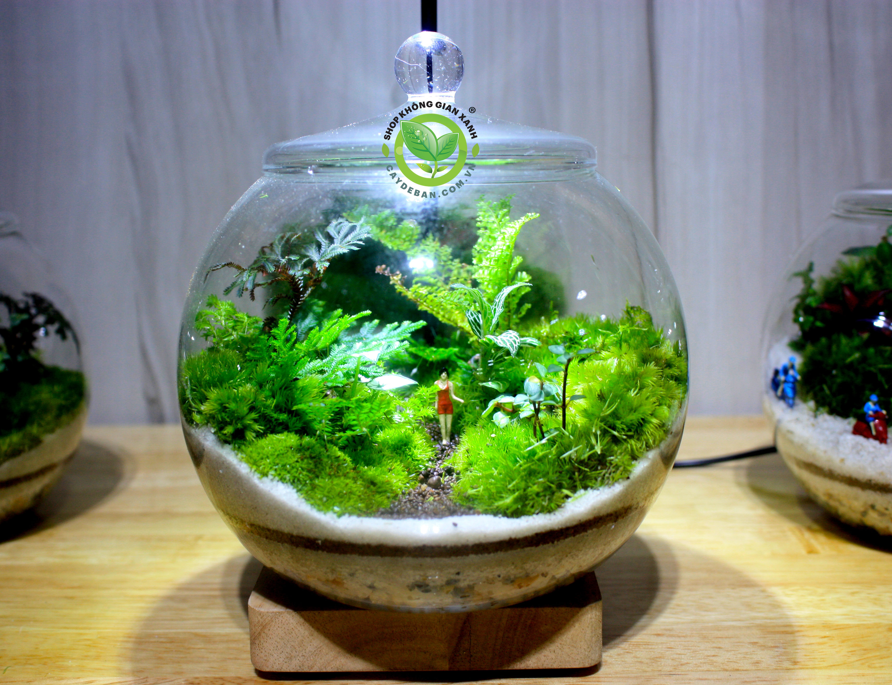 Terrarium Dạo Bước Bình Yên