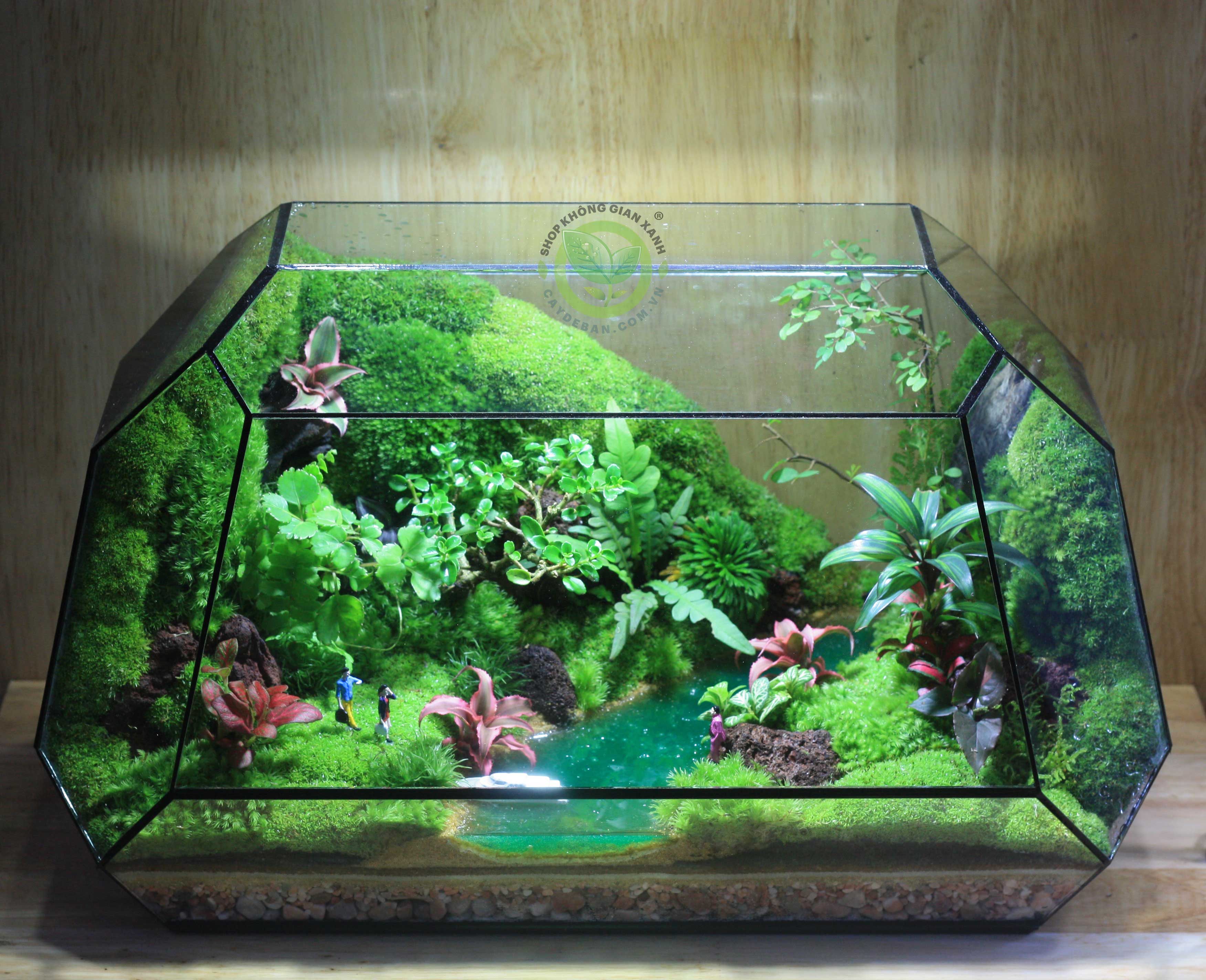Terrarium Người Đưa Đò