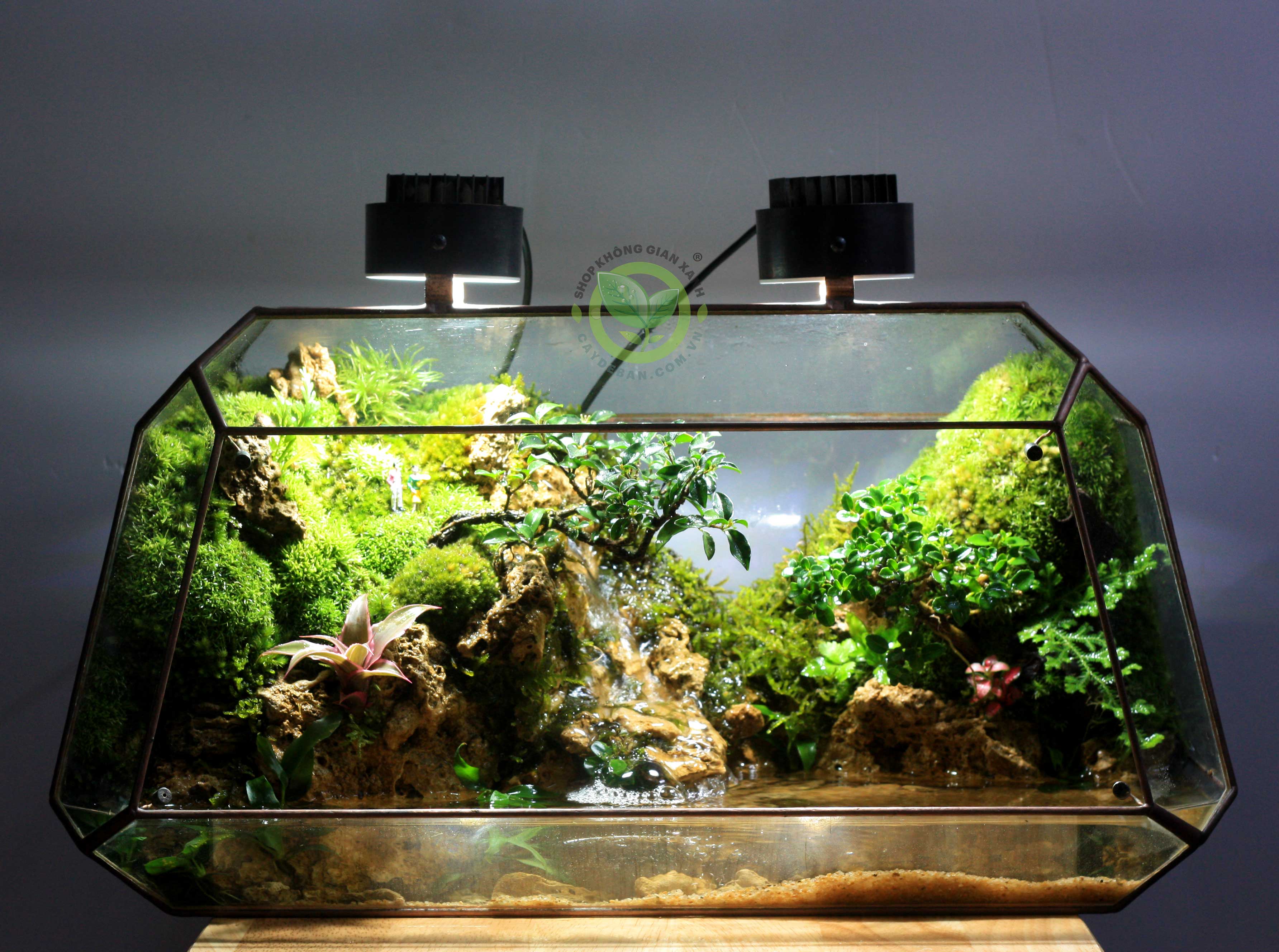 Paludarium Vulcan40