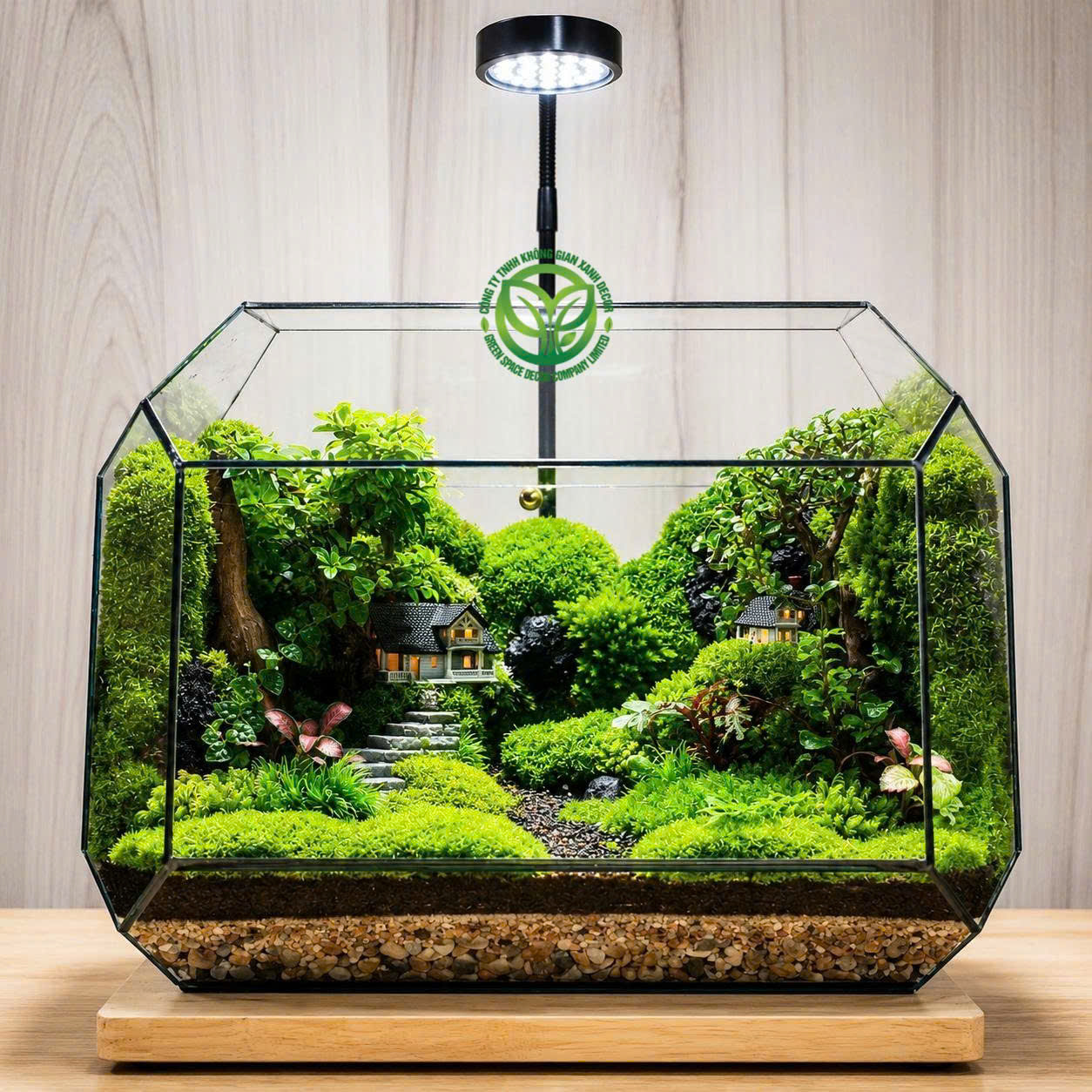 Terrarium-MS263-Family