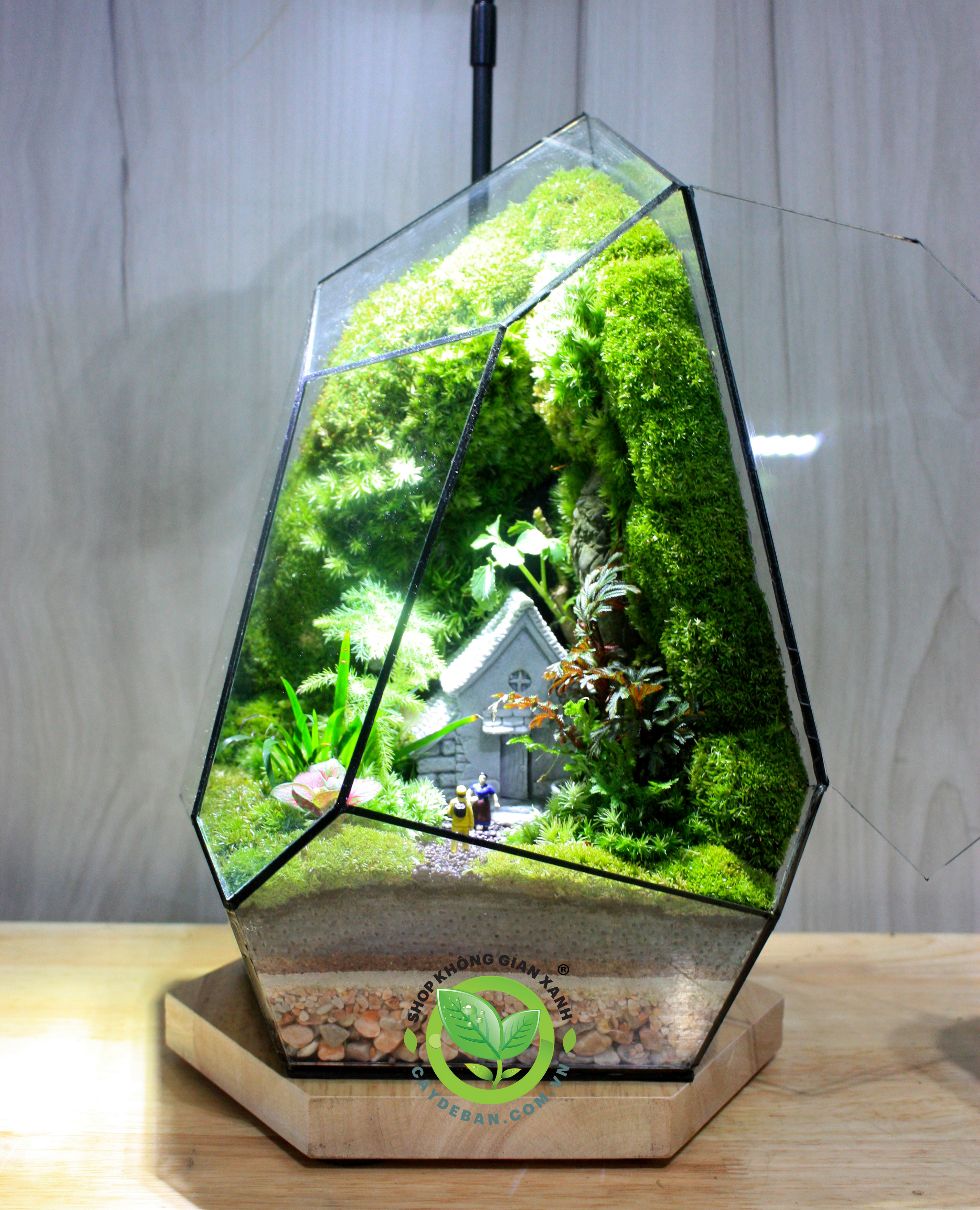 Terrarium-MS03-Family