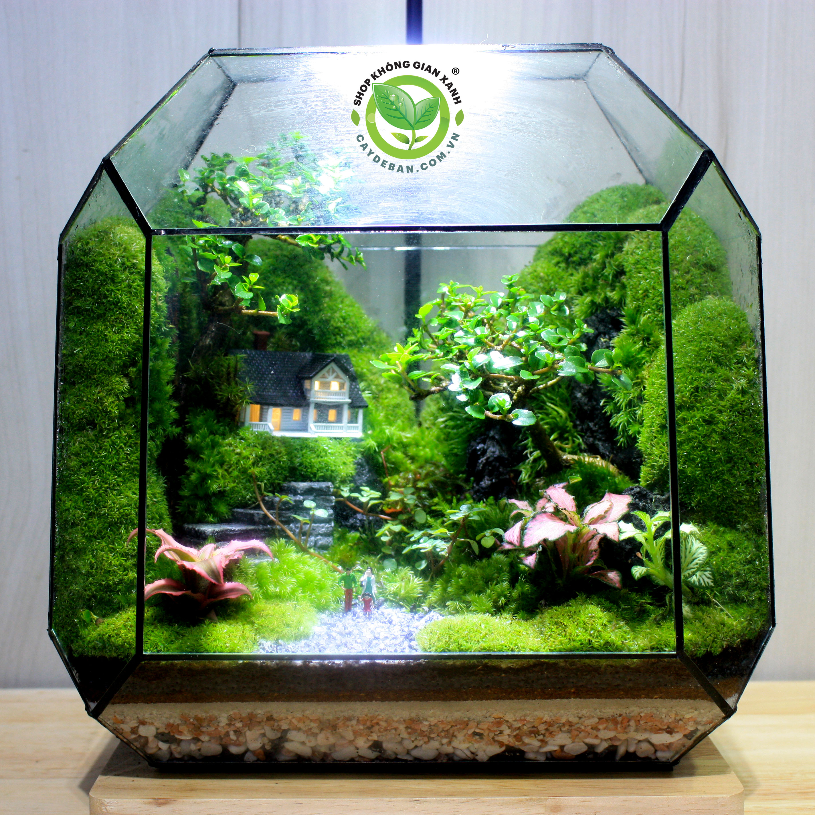 Terrarium-MS26.2 Family