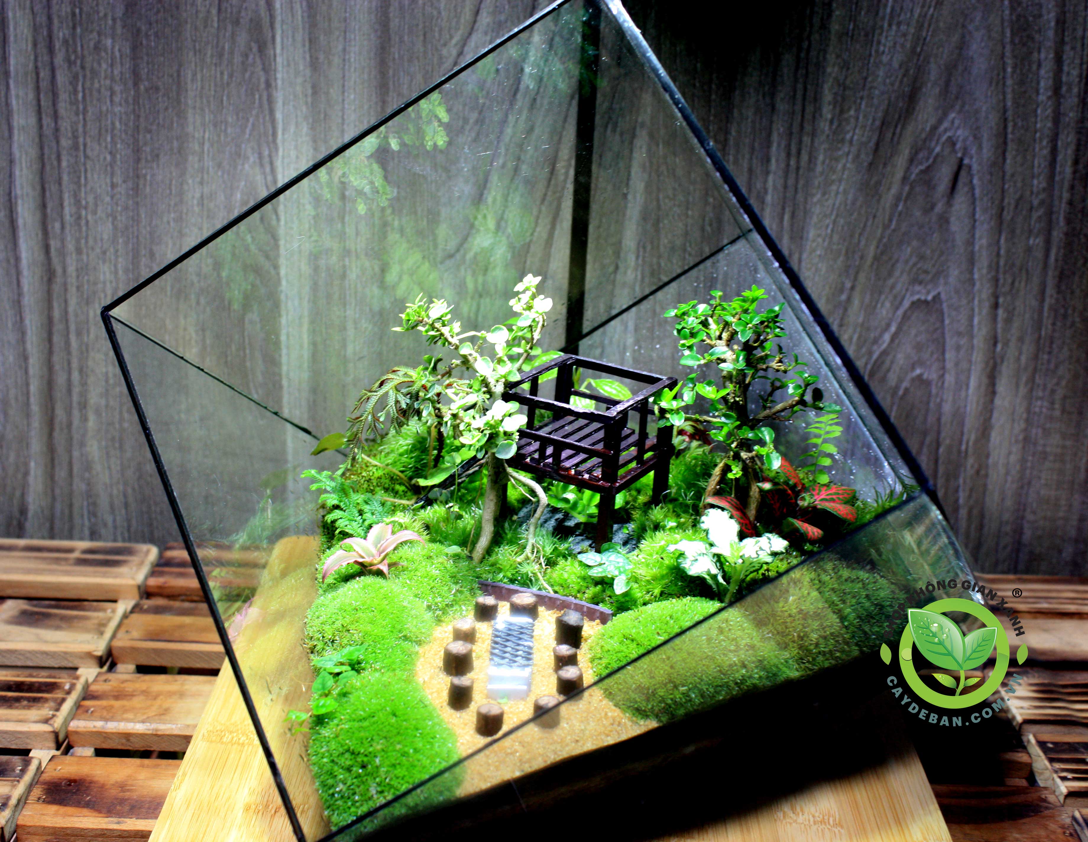 Terrarium MS24 Home Garden