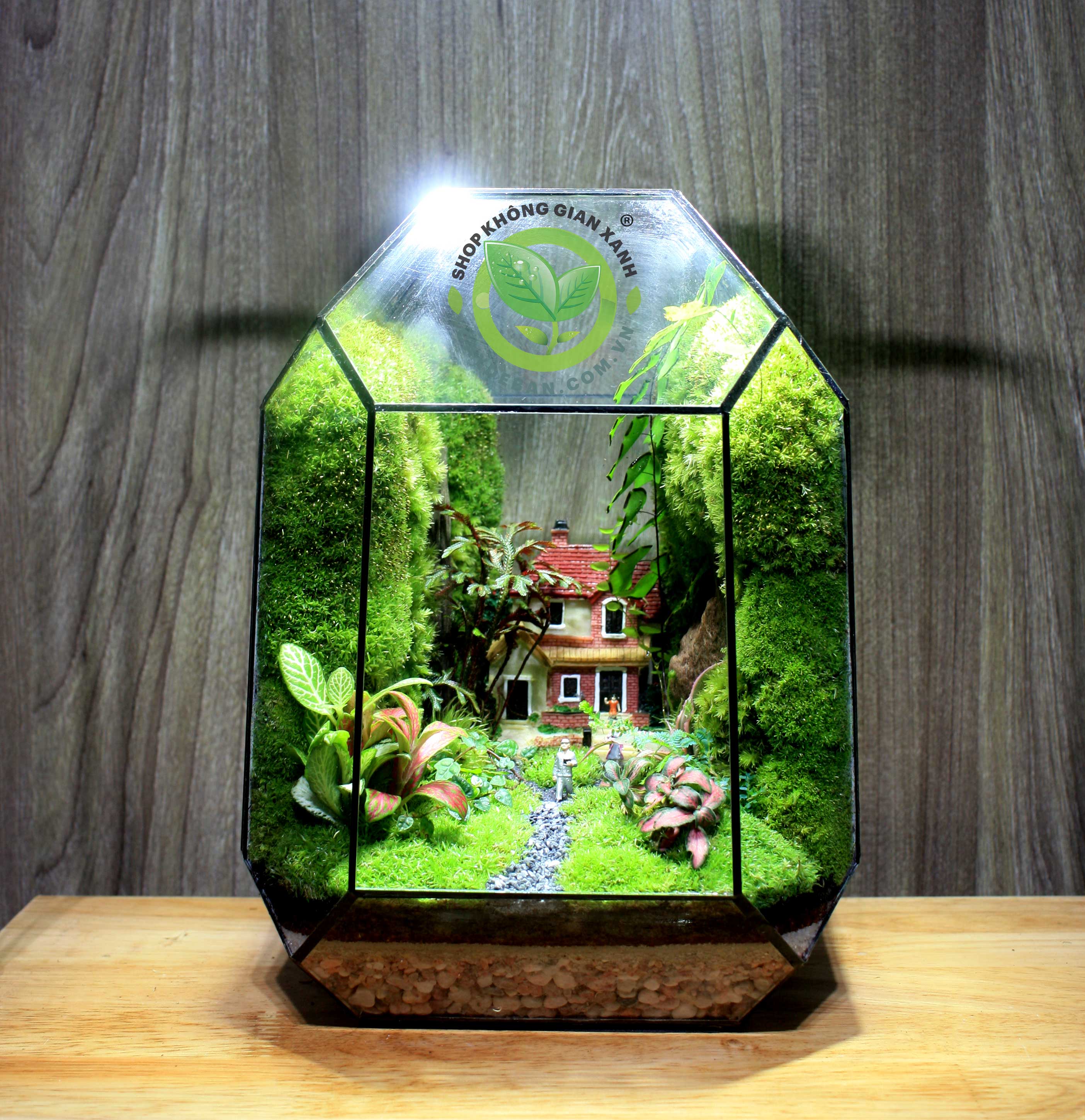 Terrarium-MS26 My Family