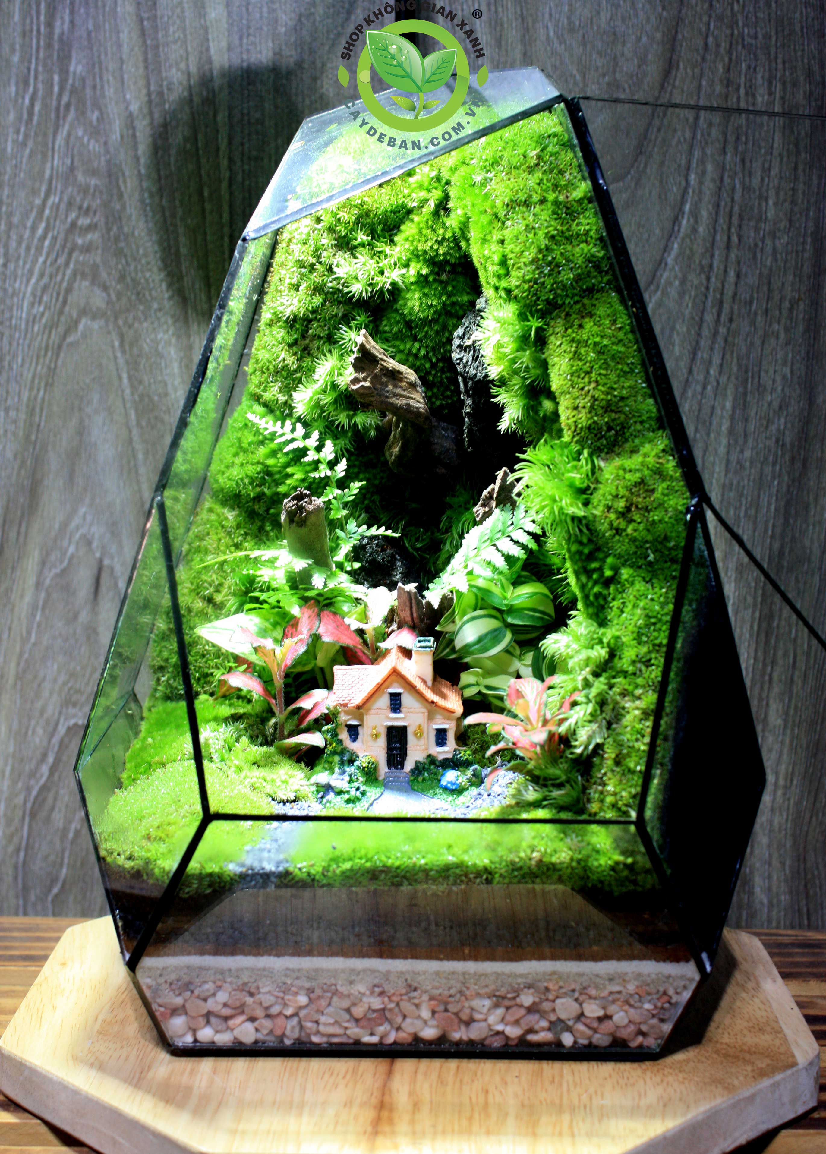 Terrarium-MS029-Family