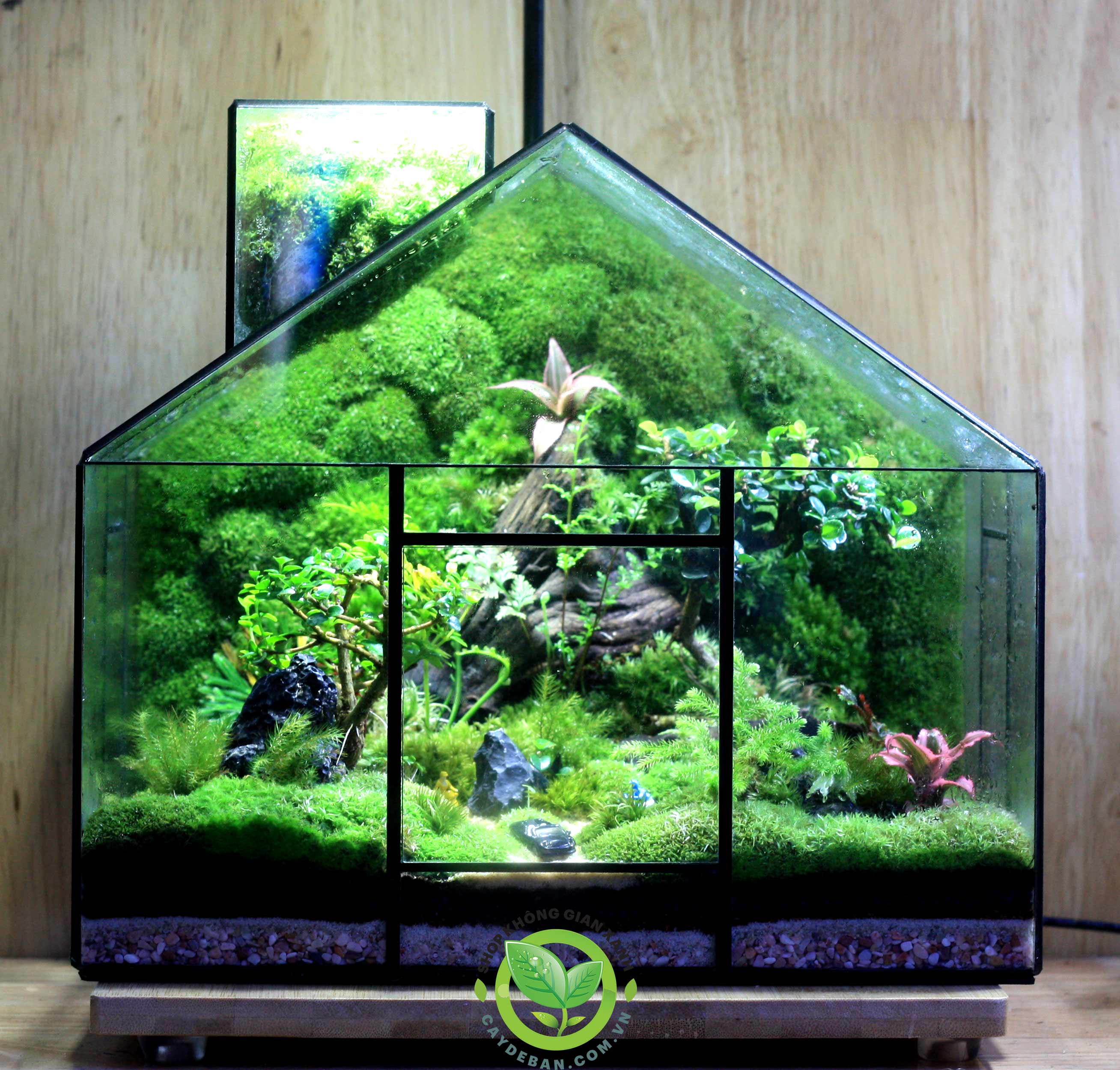 Terrarium-MS32 My House