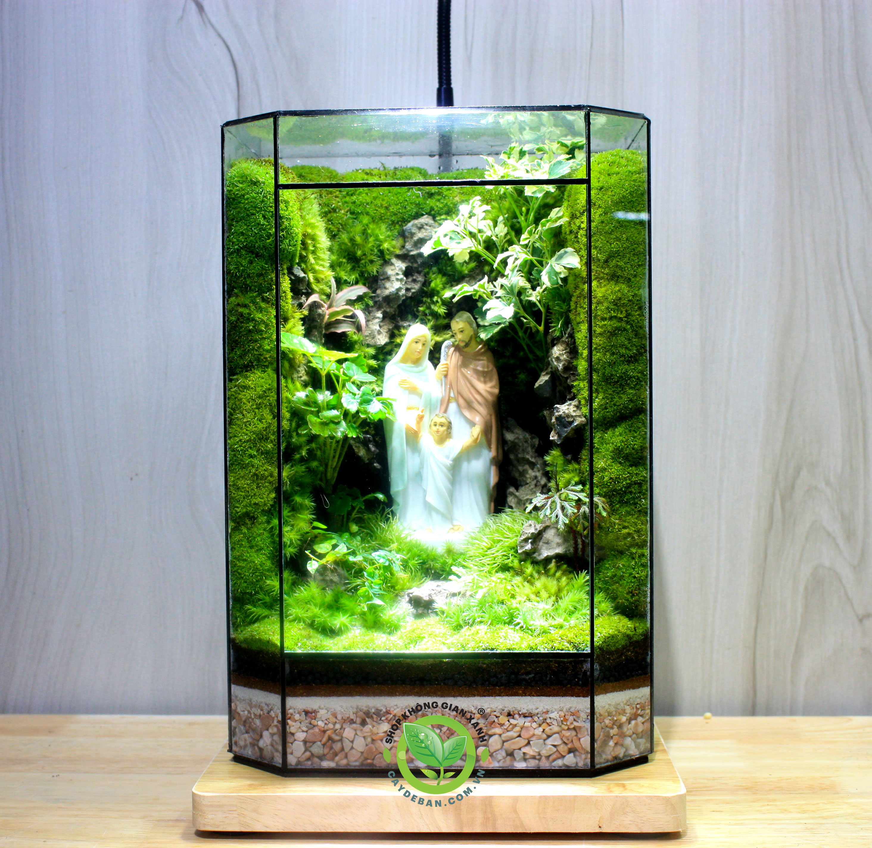 Terrarium-MS14 Thánh Gia