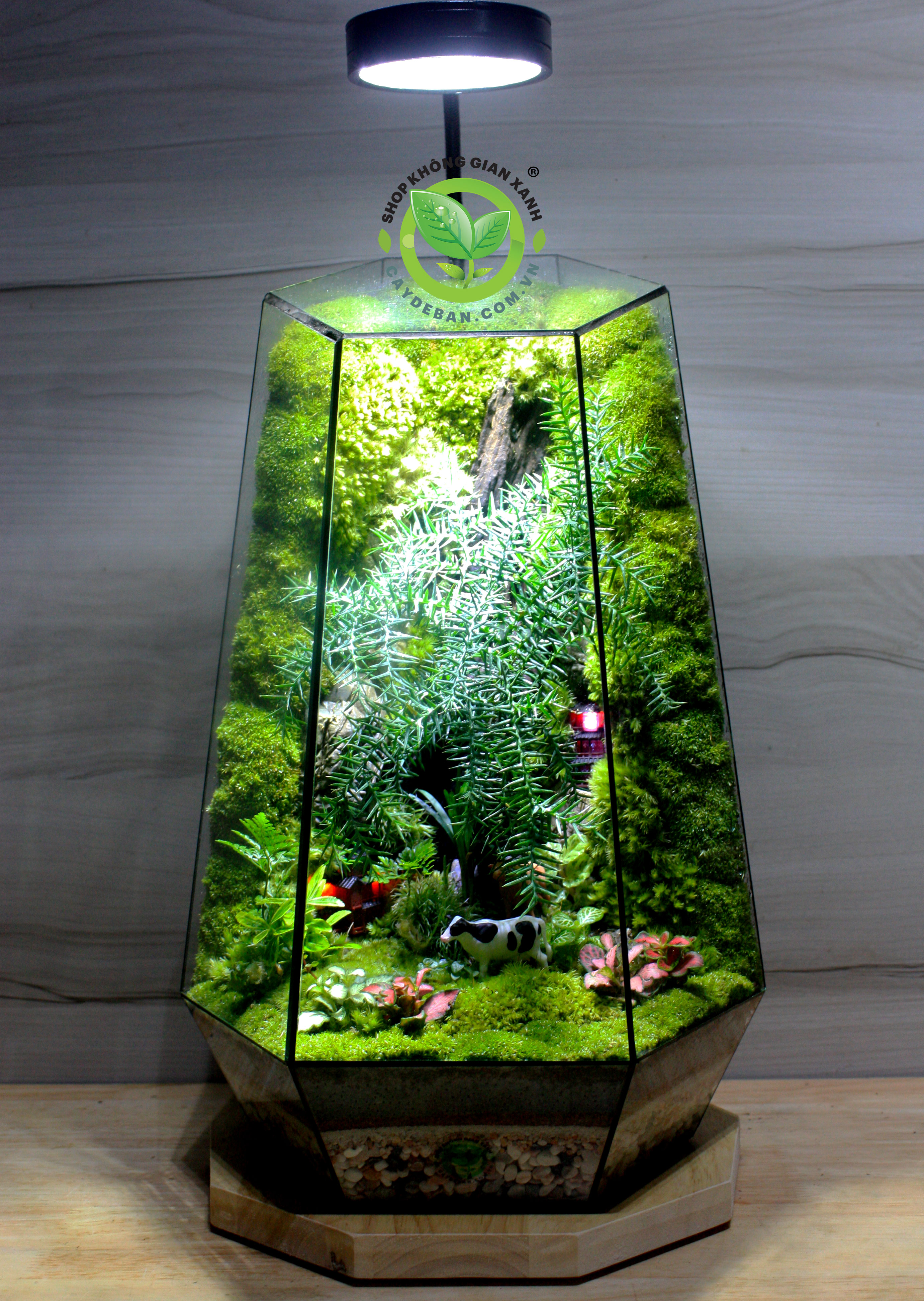 Terrarium Thảo Nguyên Nhỏ Terrarium Thảo Nguyên Nhỏ