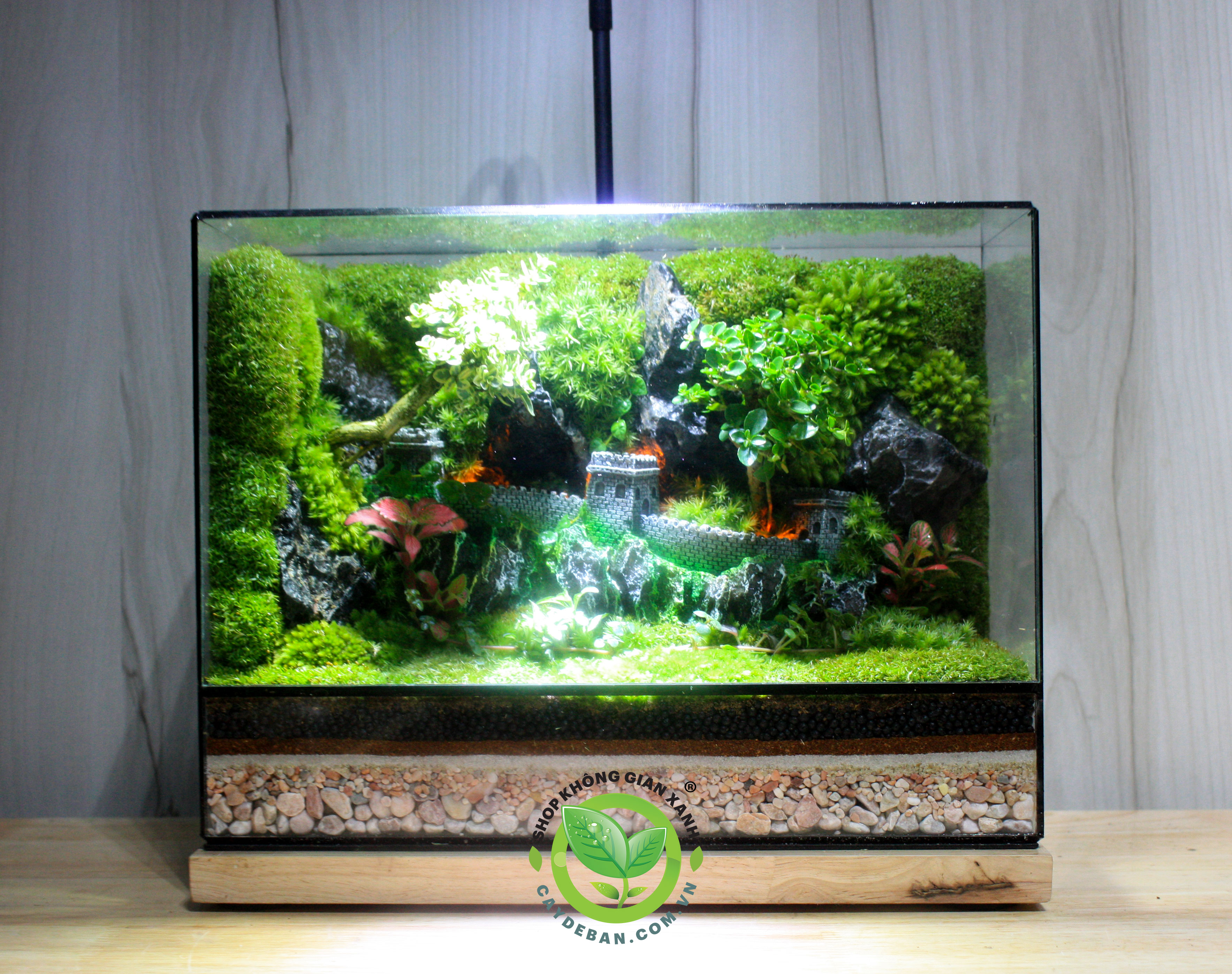 Terrarium Phía Sau Luỹ Thành